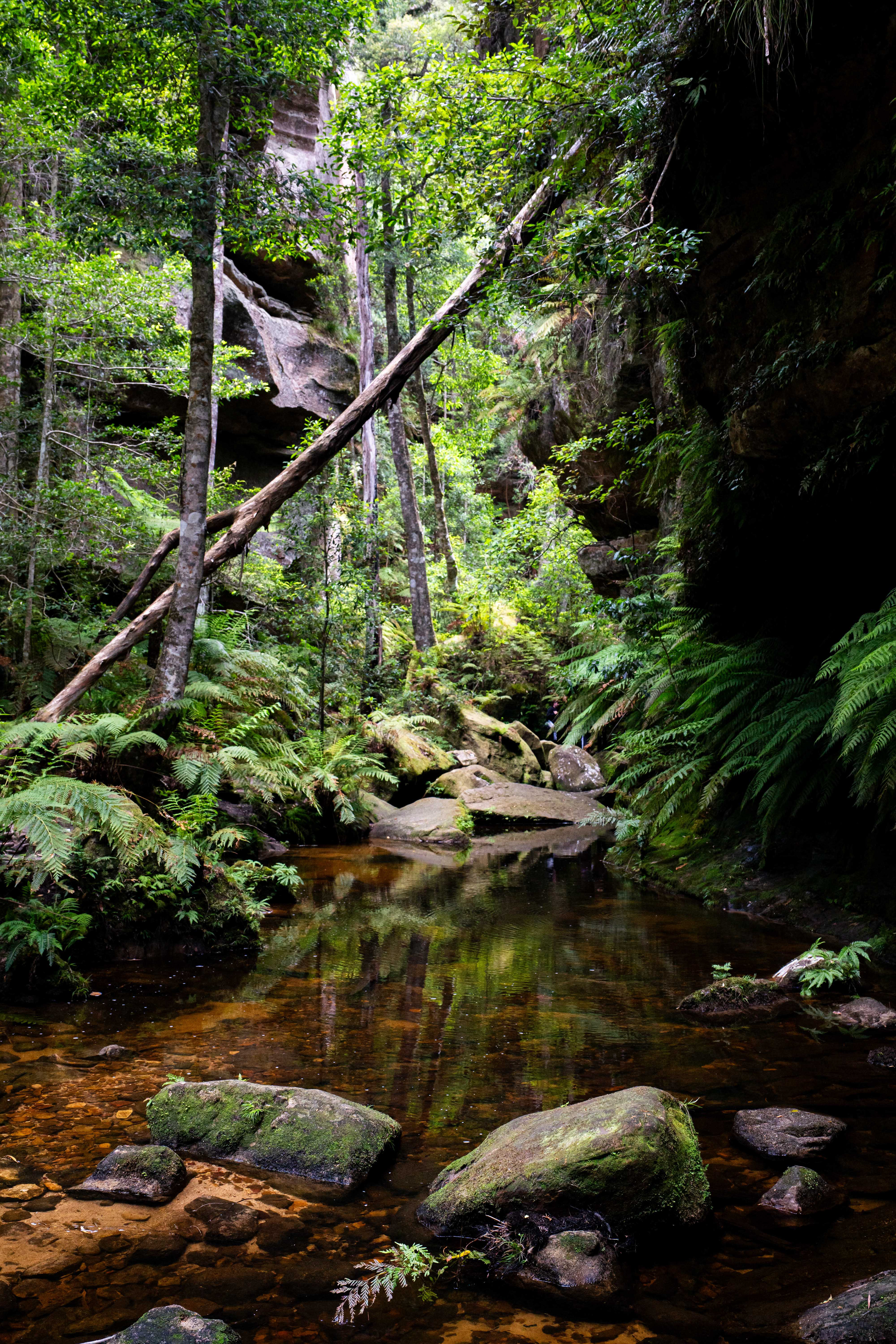 Blue Mountains National Park.