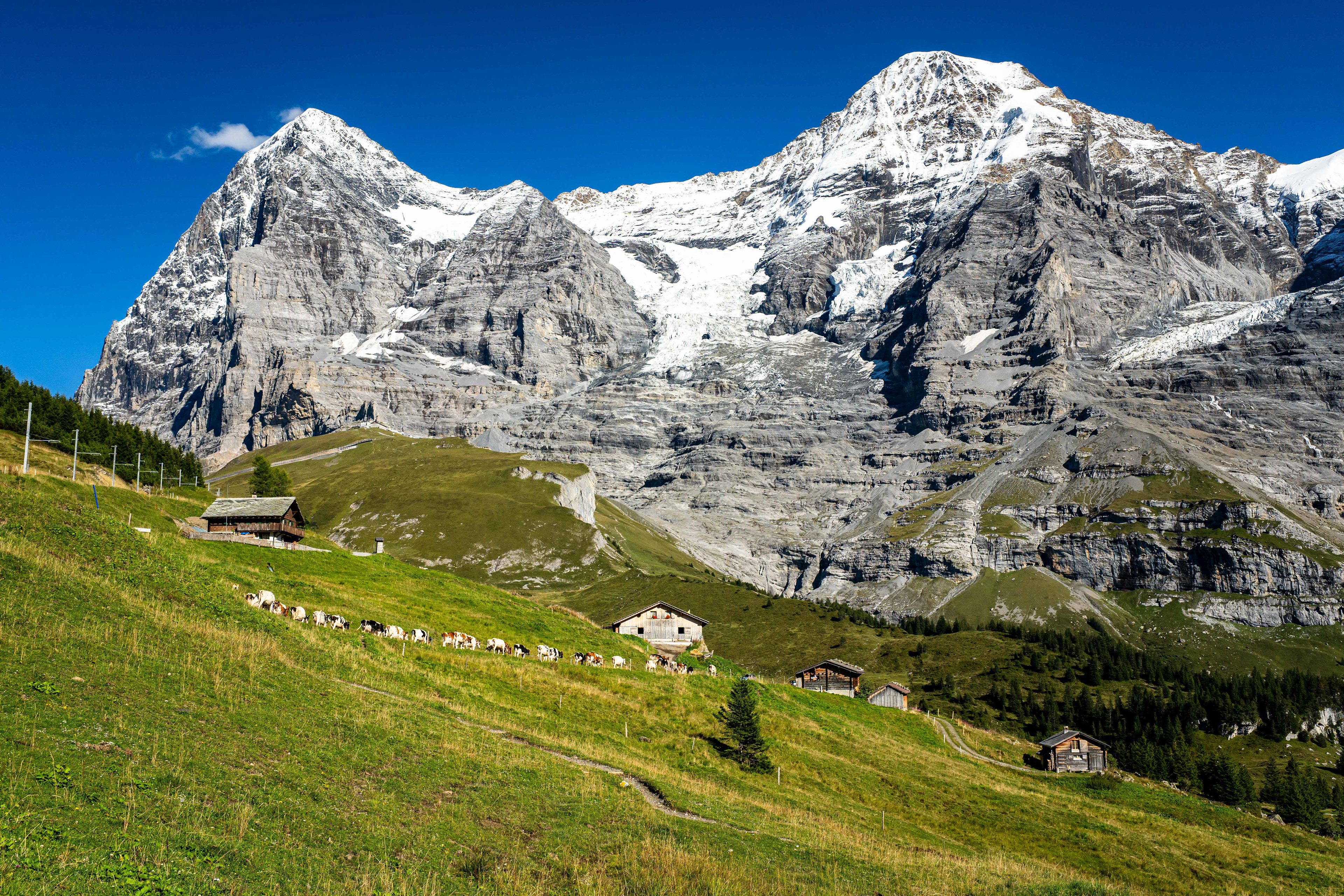 Kleine Scheidegg.
