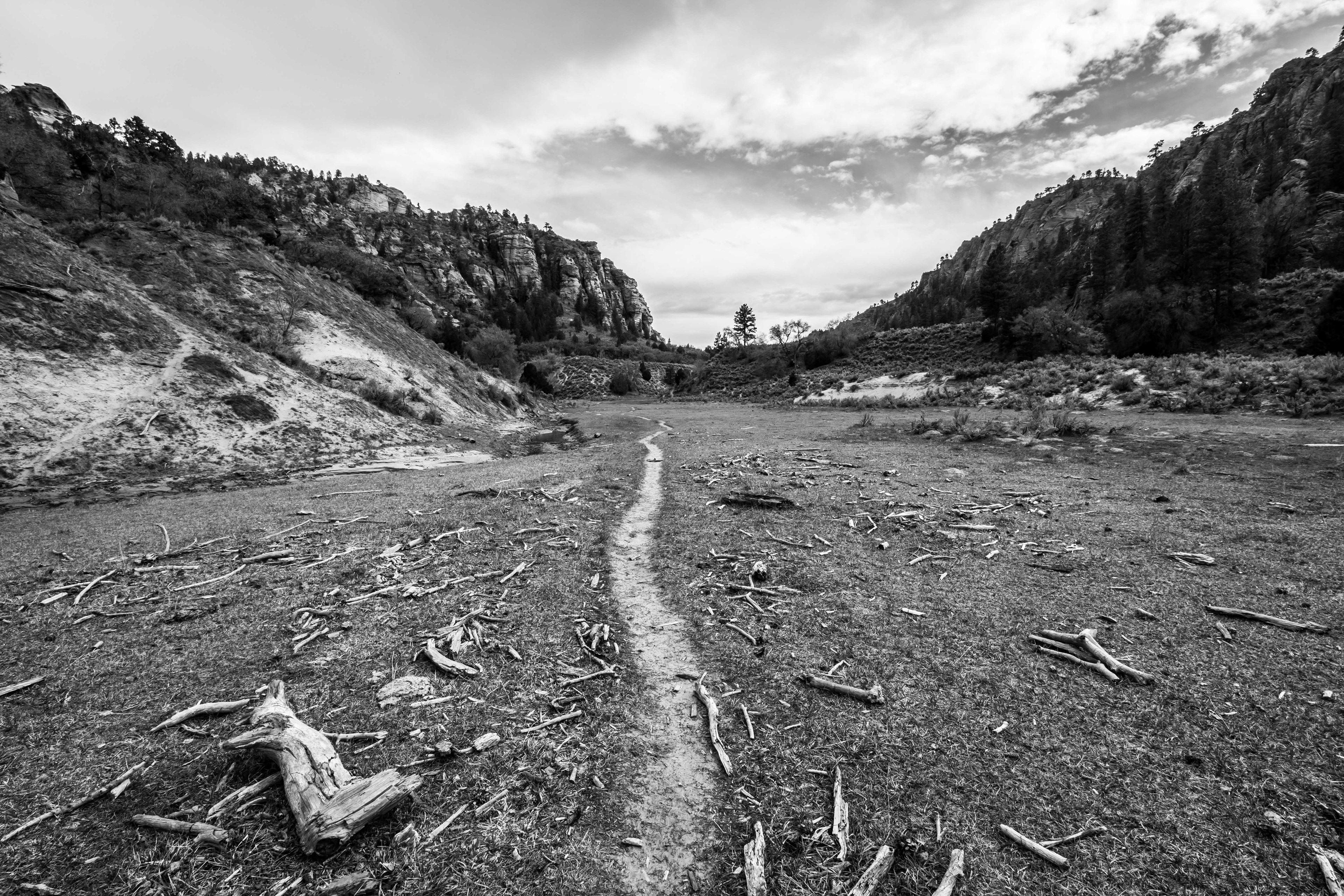Zion National Park, UT.