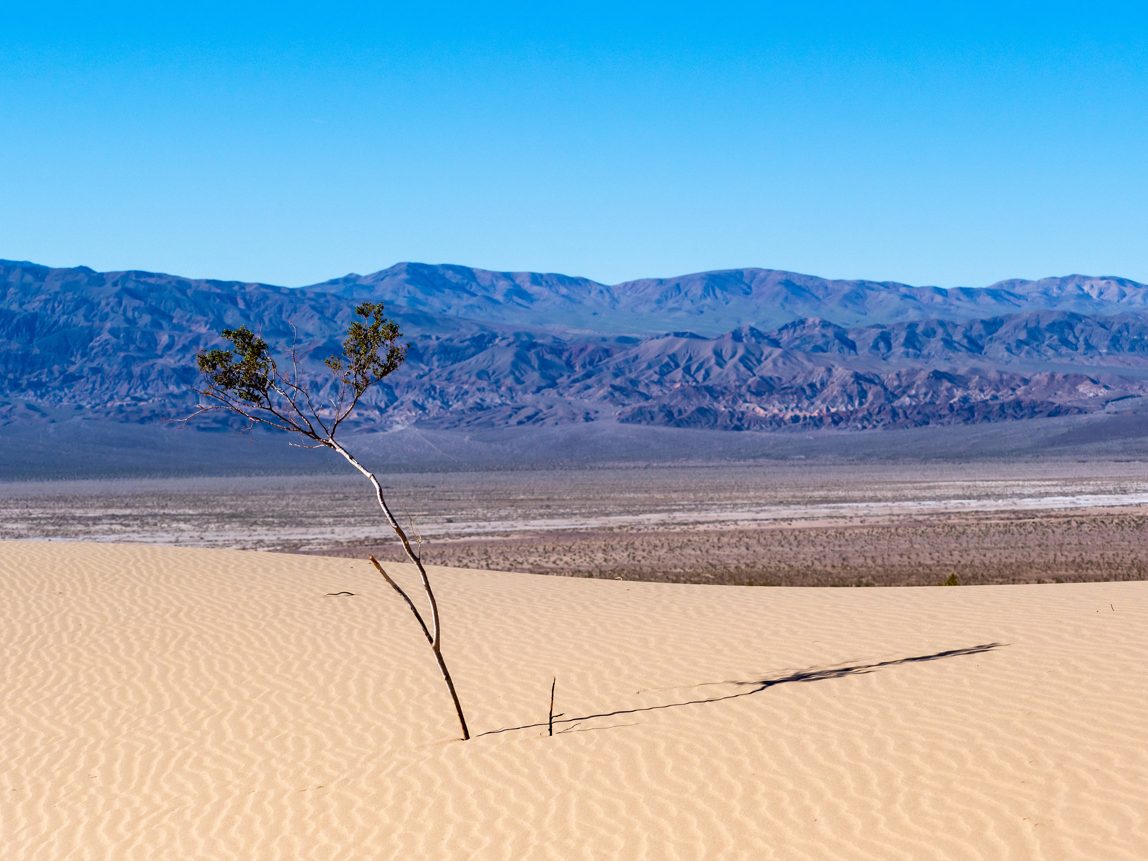 Death Valley National Park.