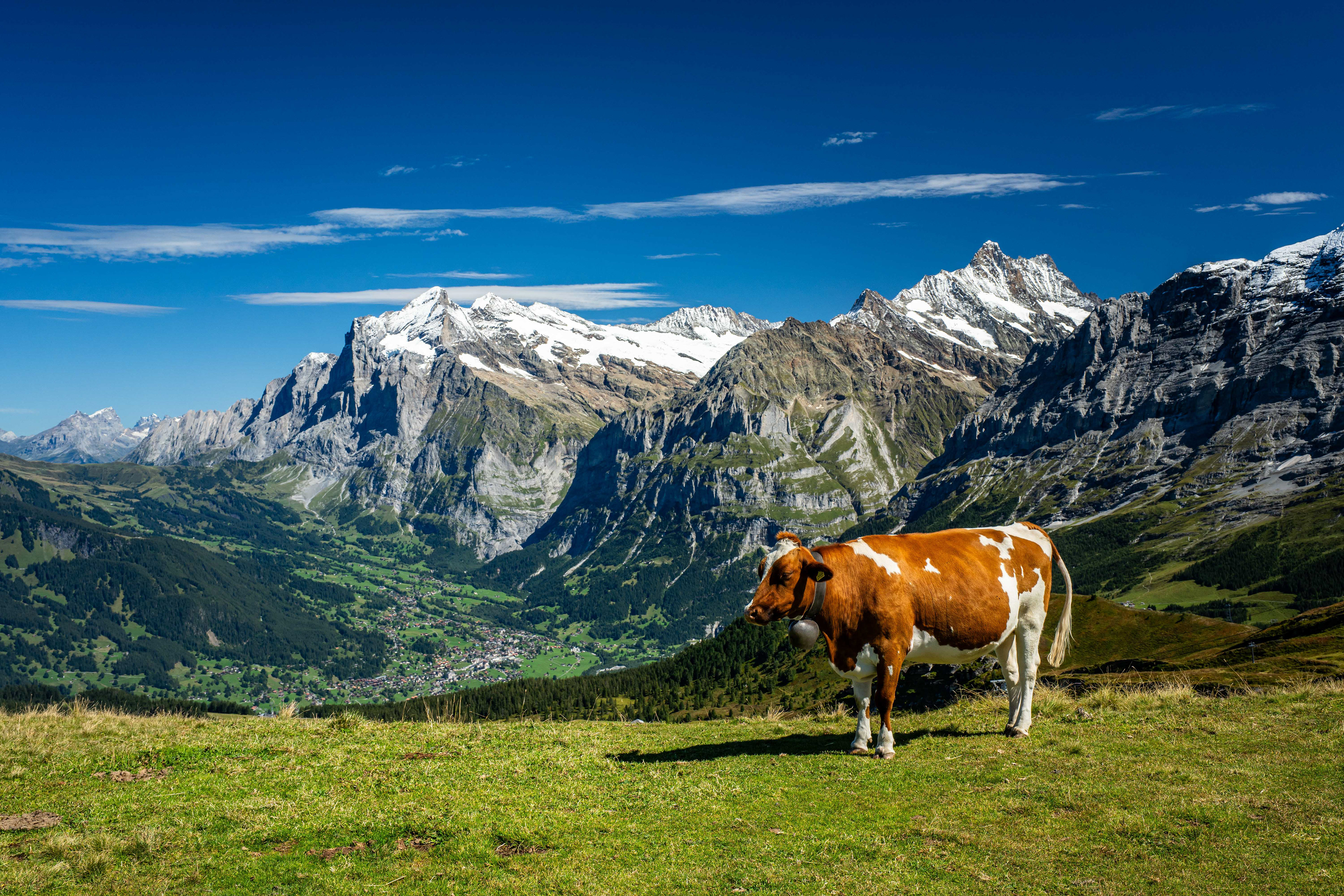 Kleine Scheidegg.