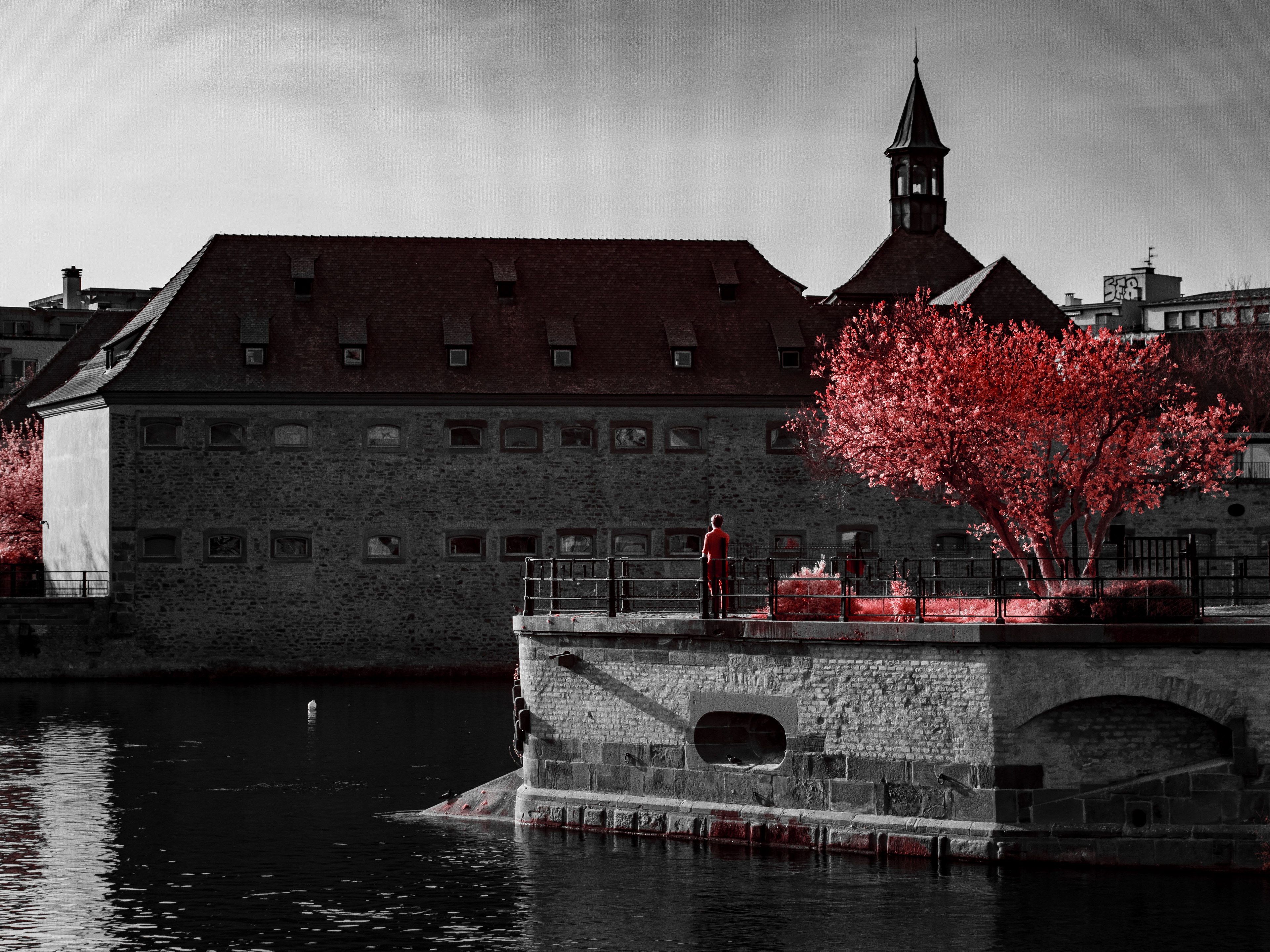 Strasbourg. 590nm infrared.