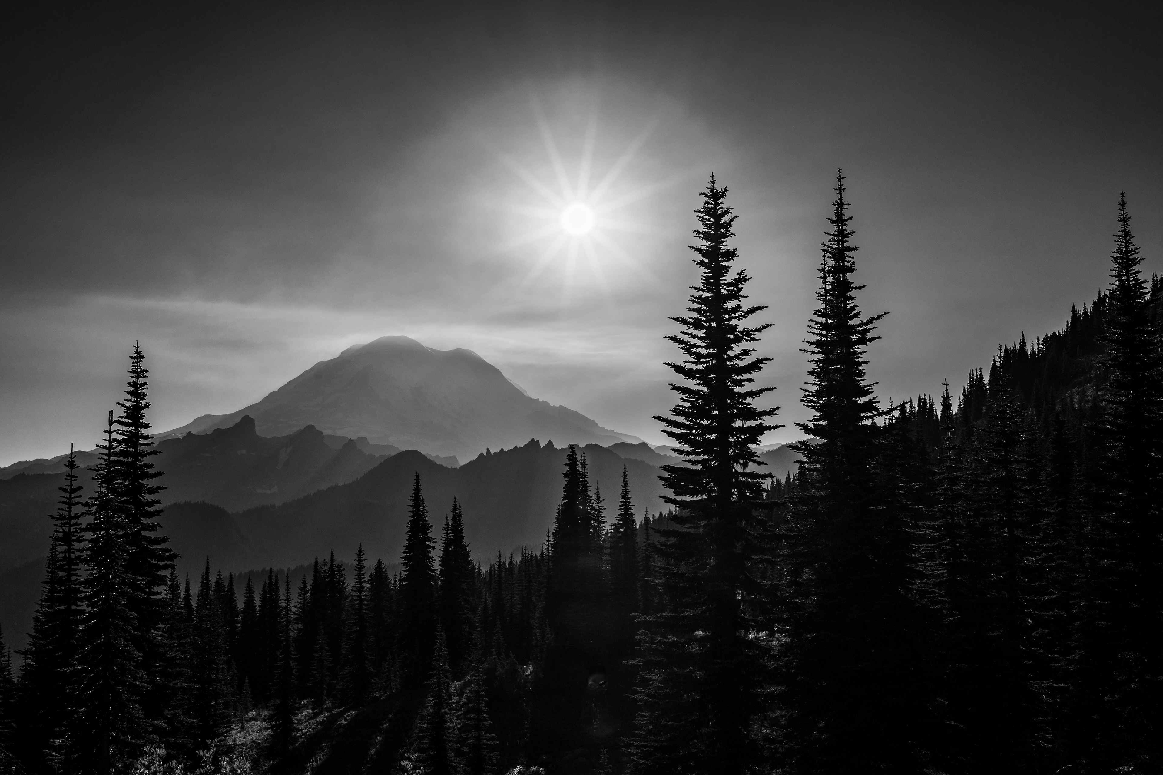 Mount Rainier National Park.