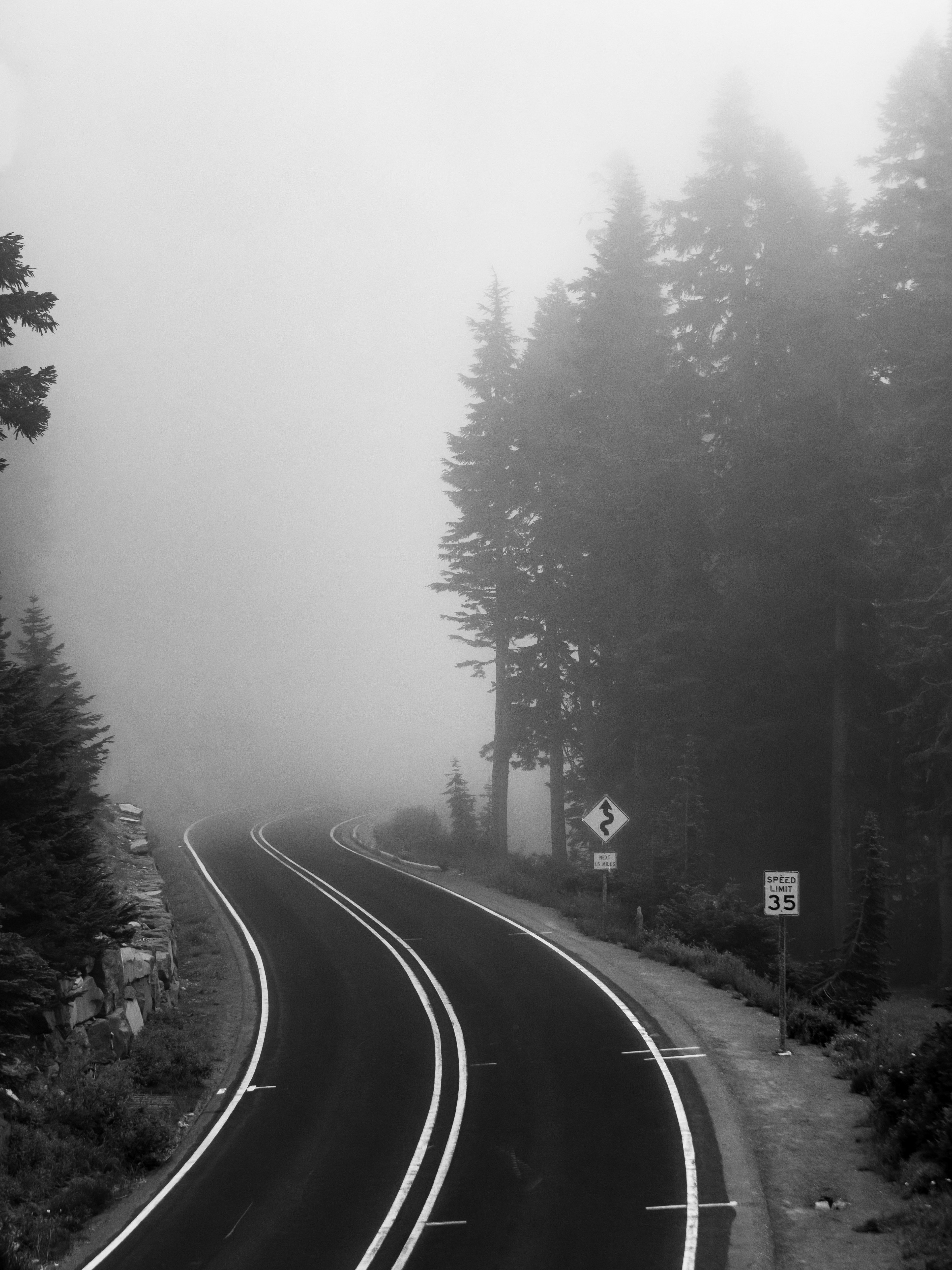 Mount Rainier National Park.