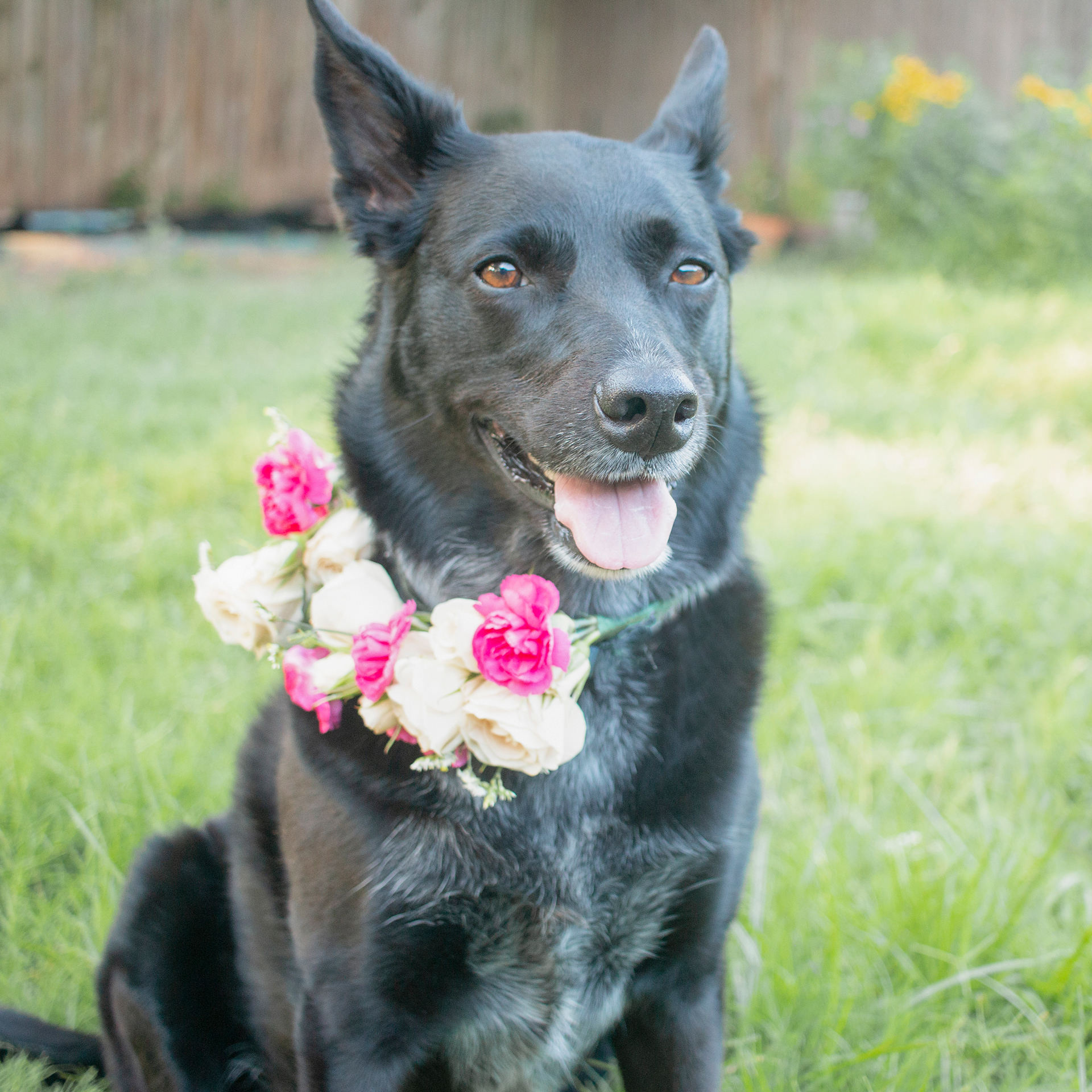 Floral Collar