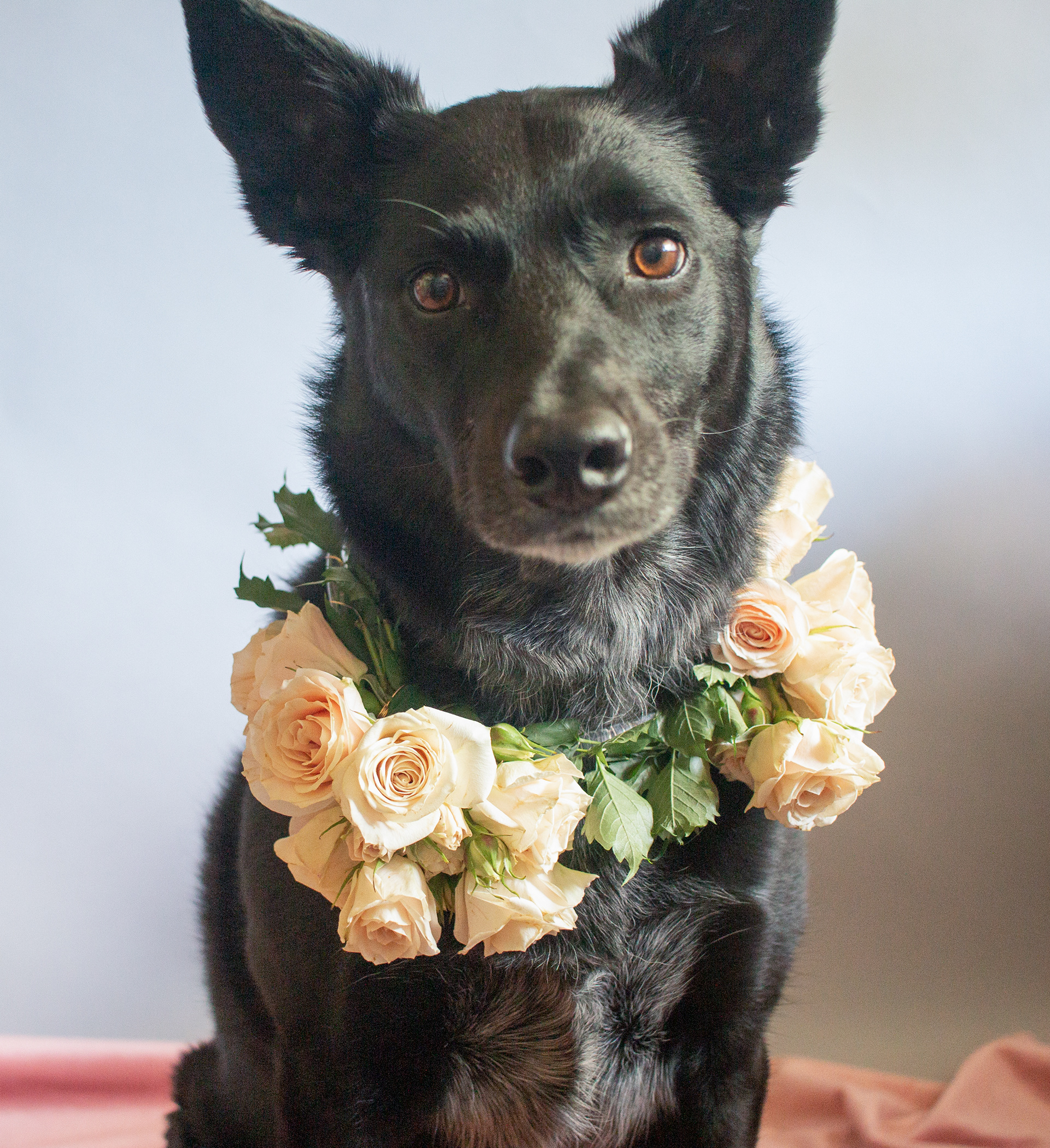 Floral Collar
