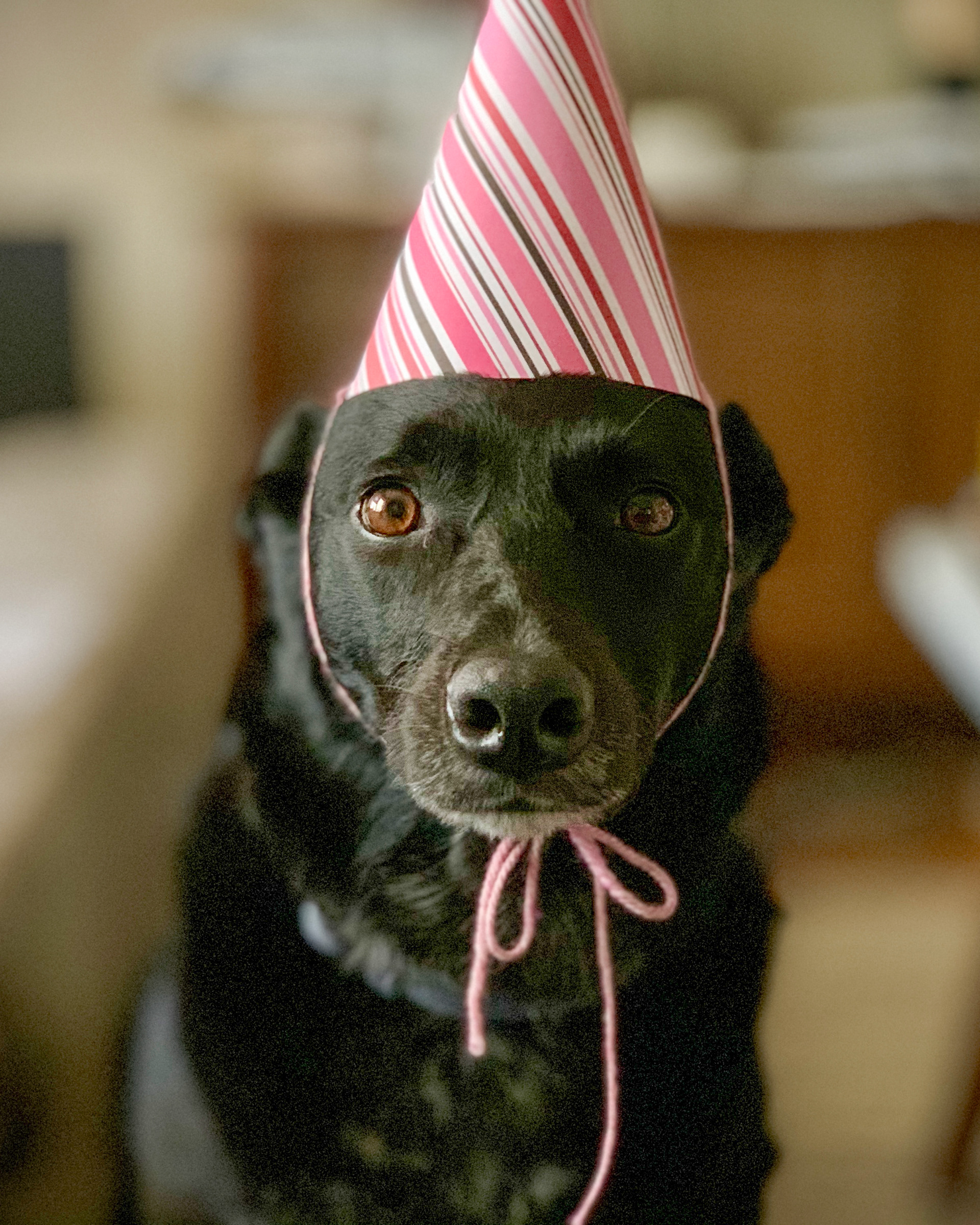 Sweet birthday baby