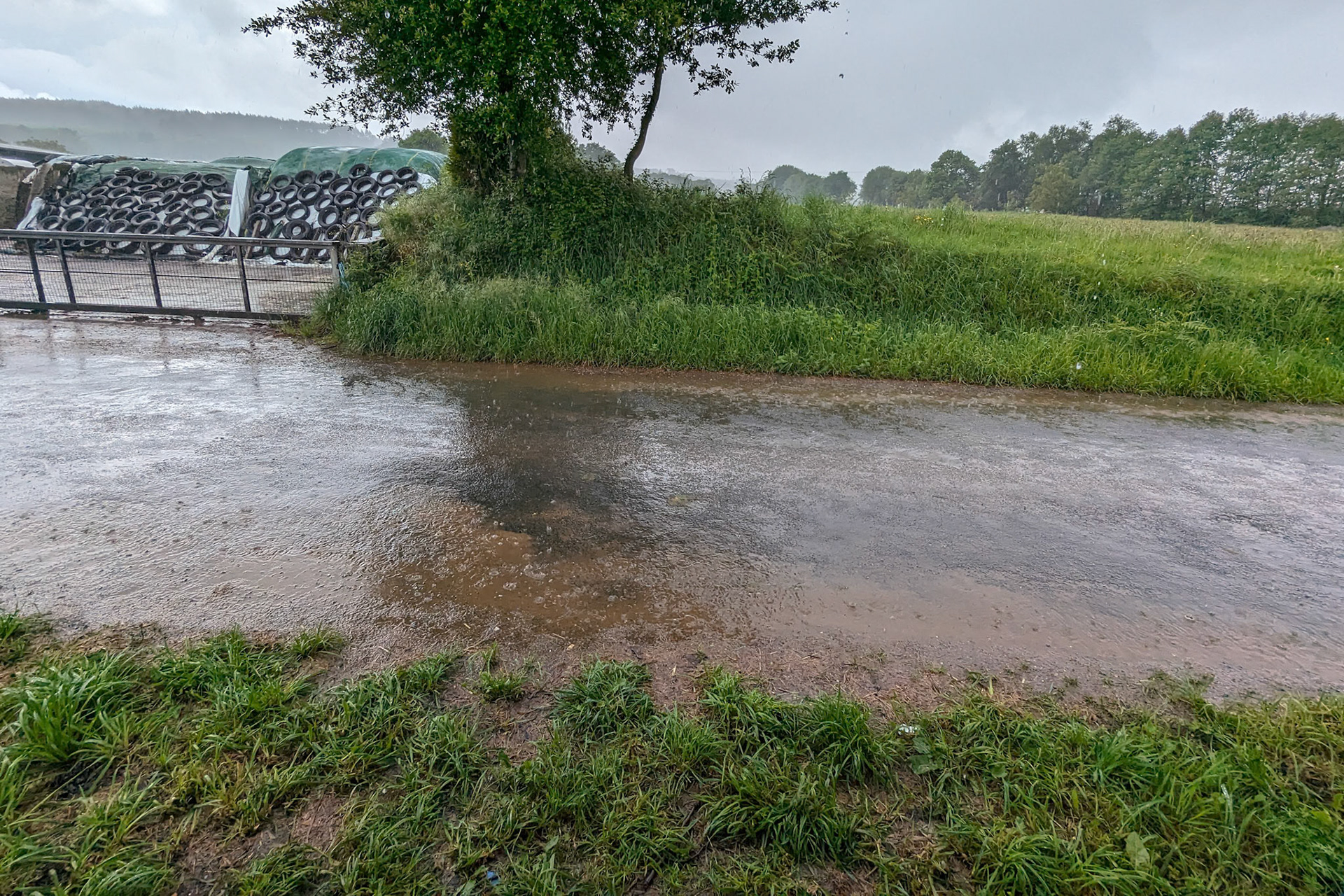 we houden het niet droog