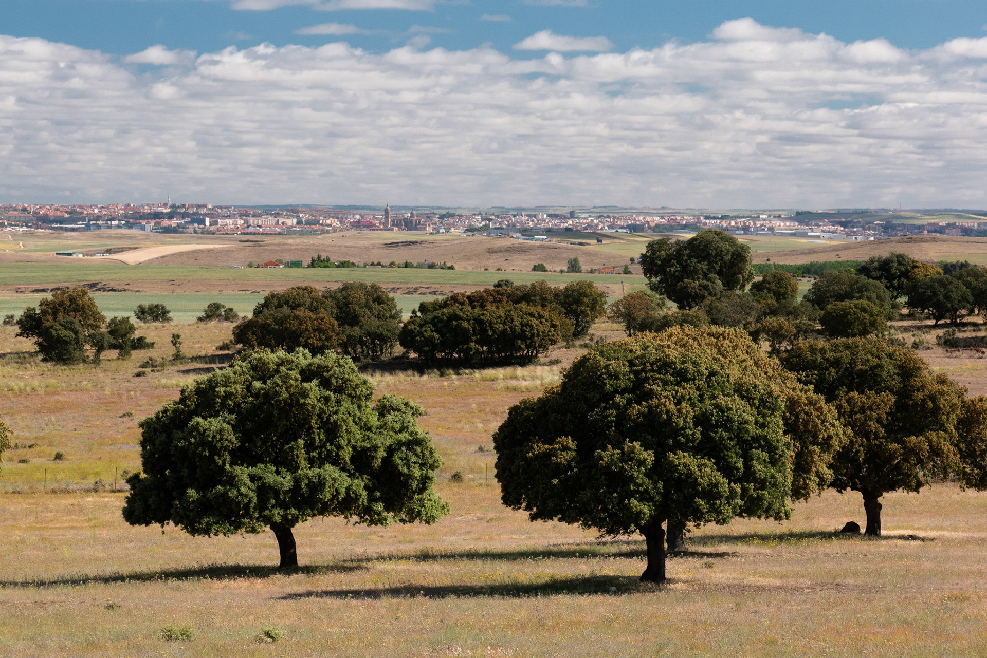 there is Salamanca