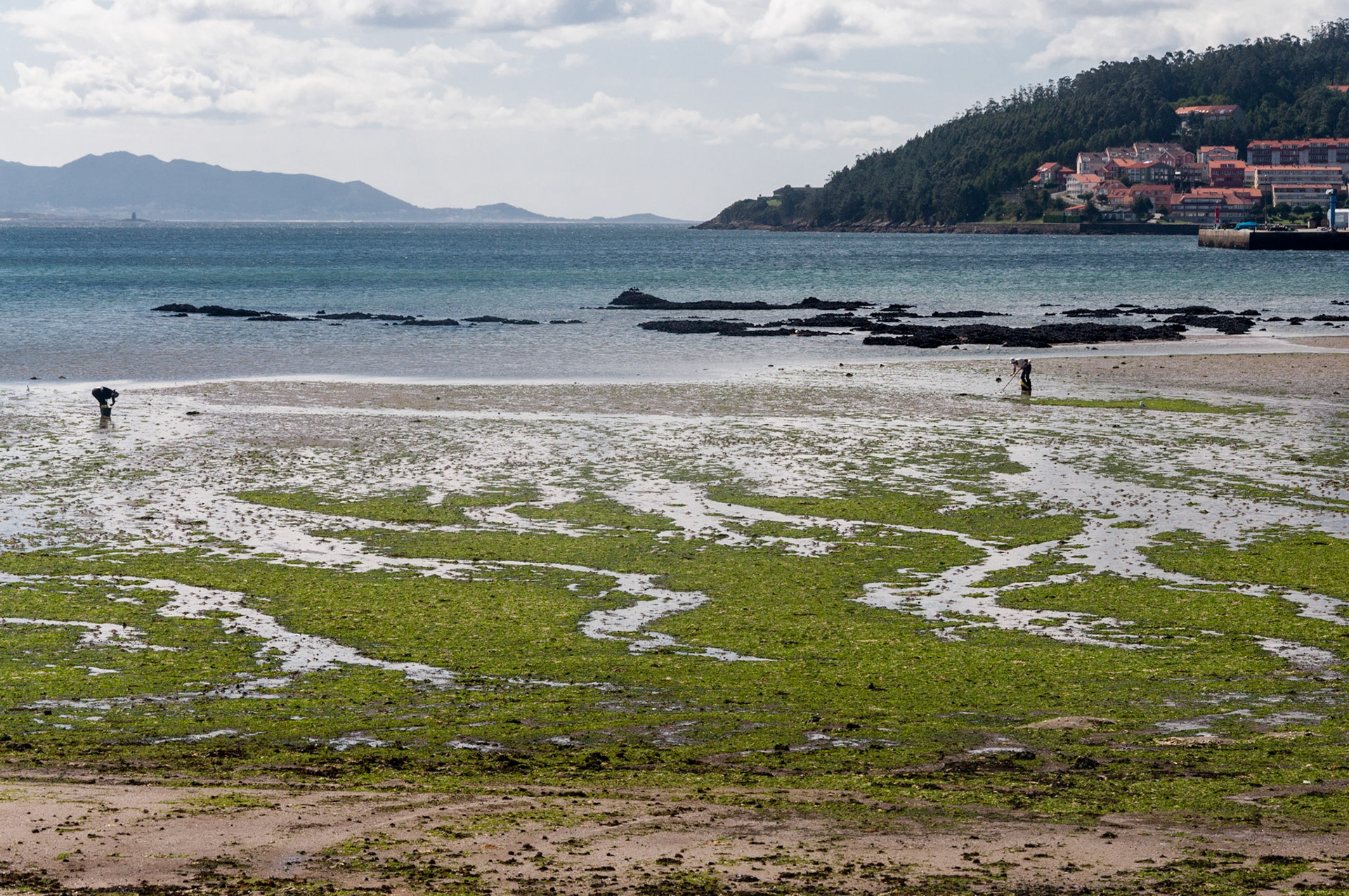 bay at See