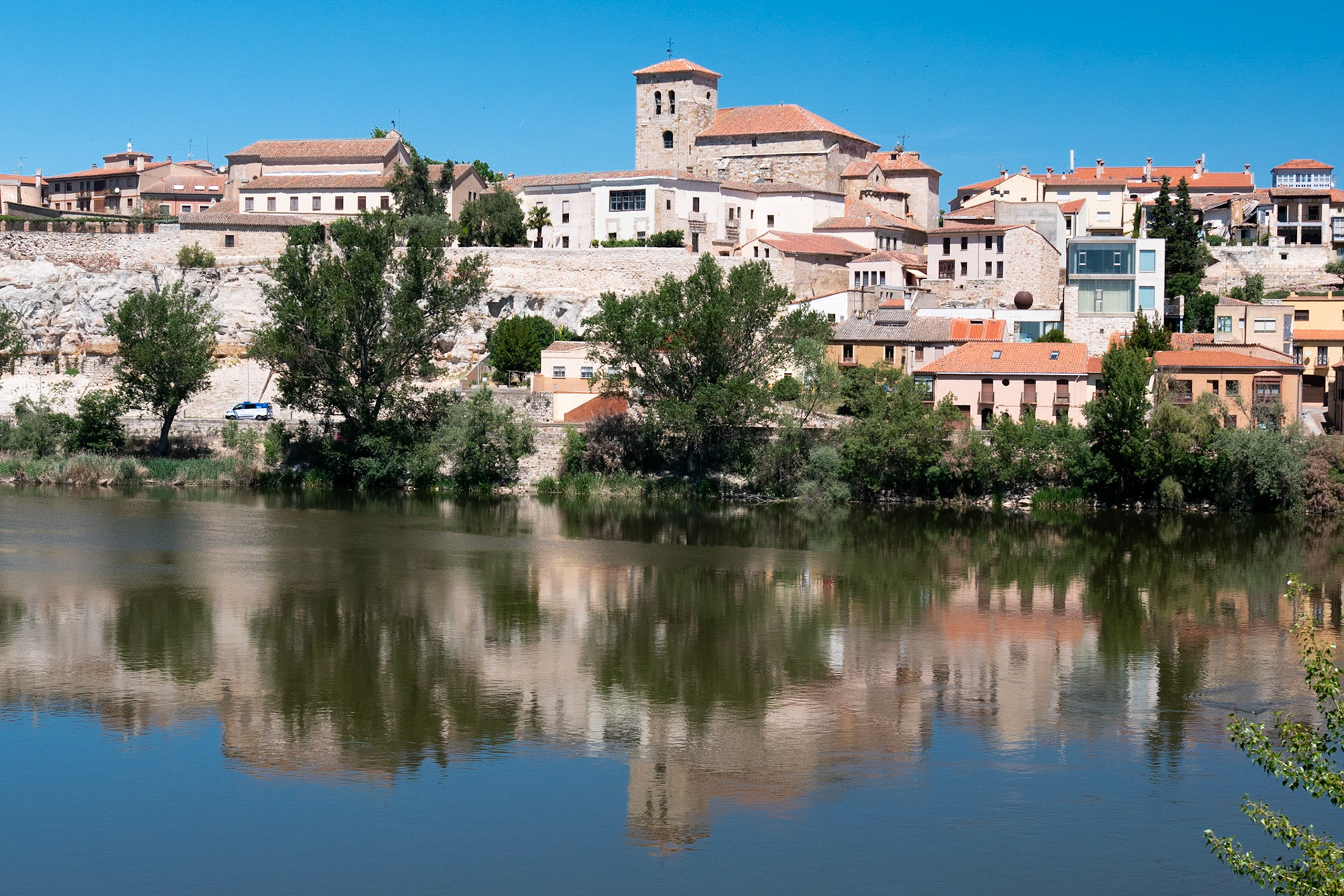 Zamora
