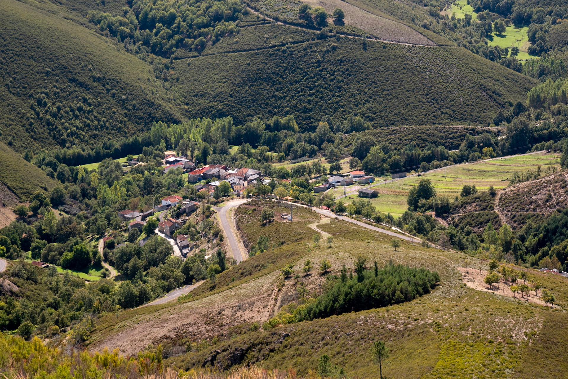 Campobecerros