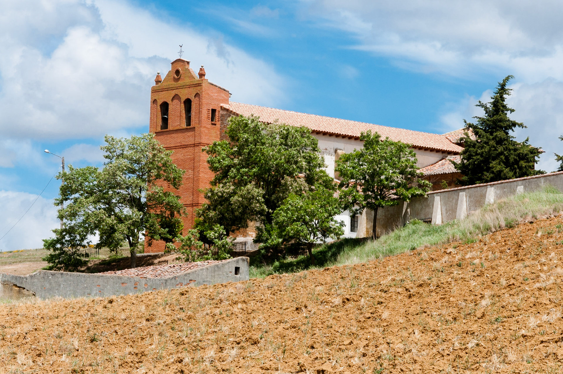 Ledigos