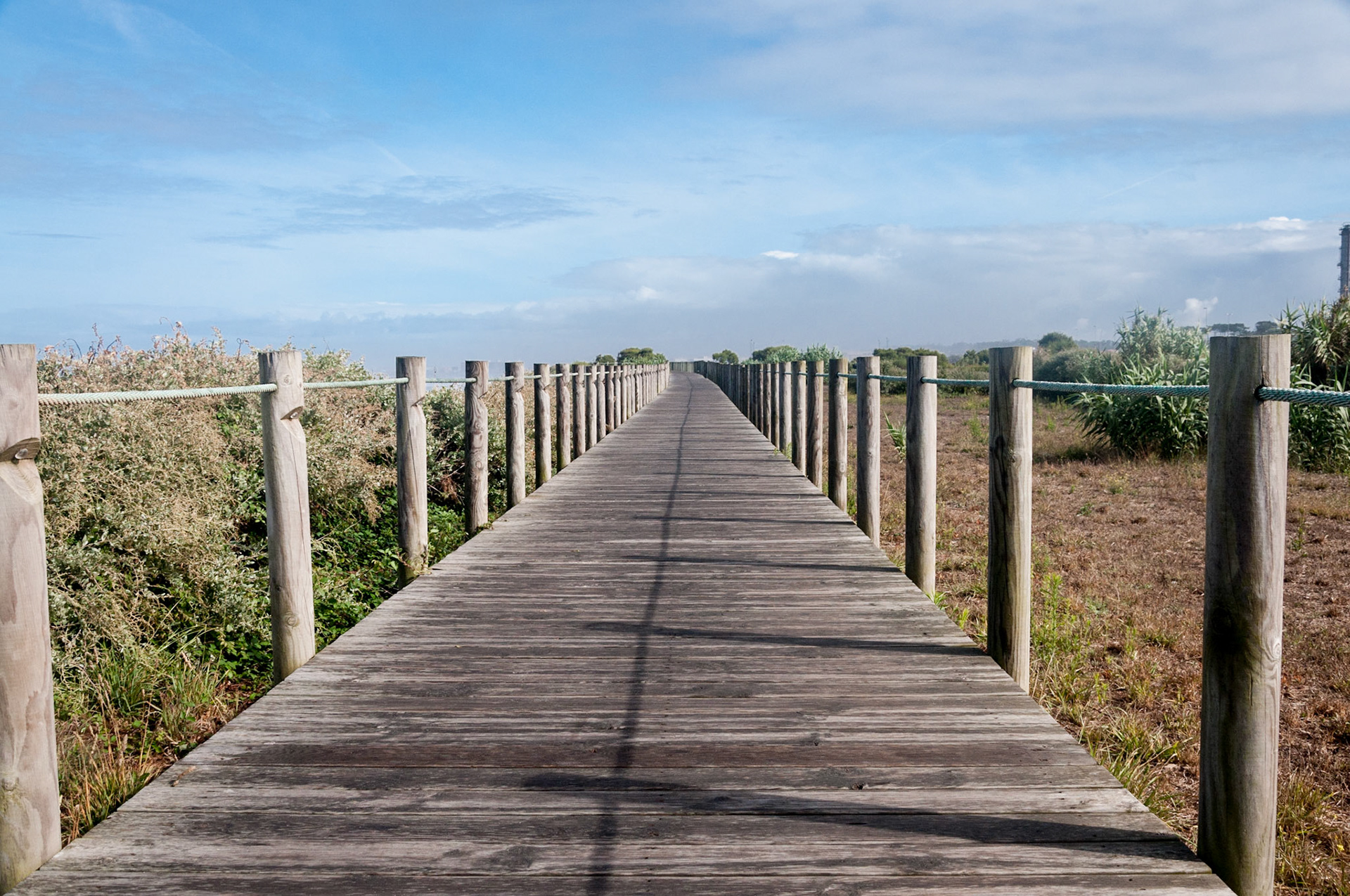wooden path along the beach
