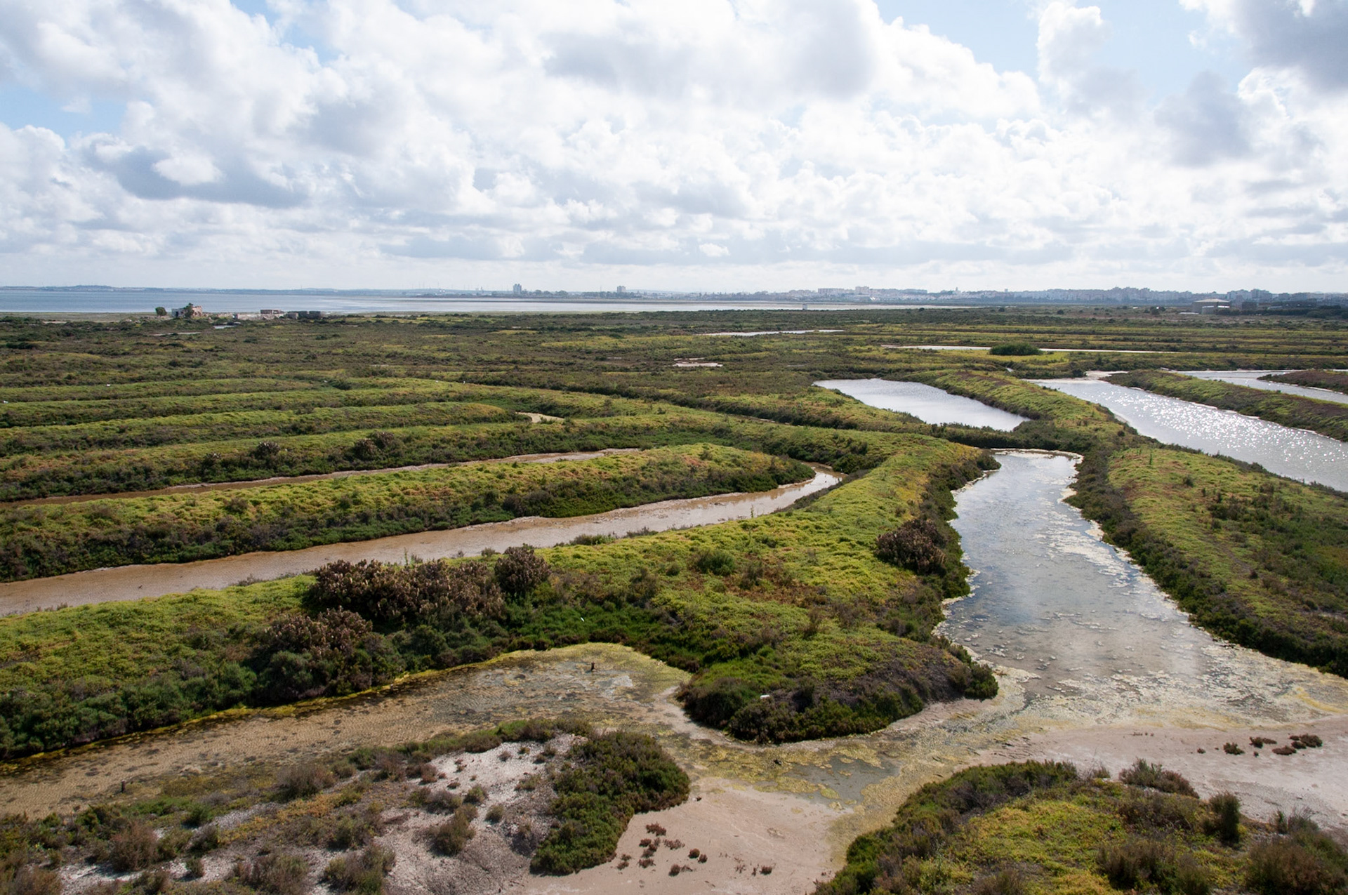 other site of the dike