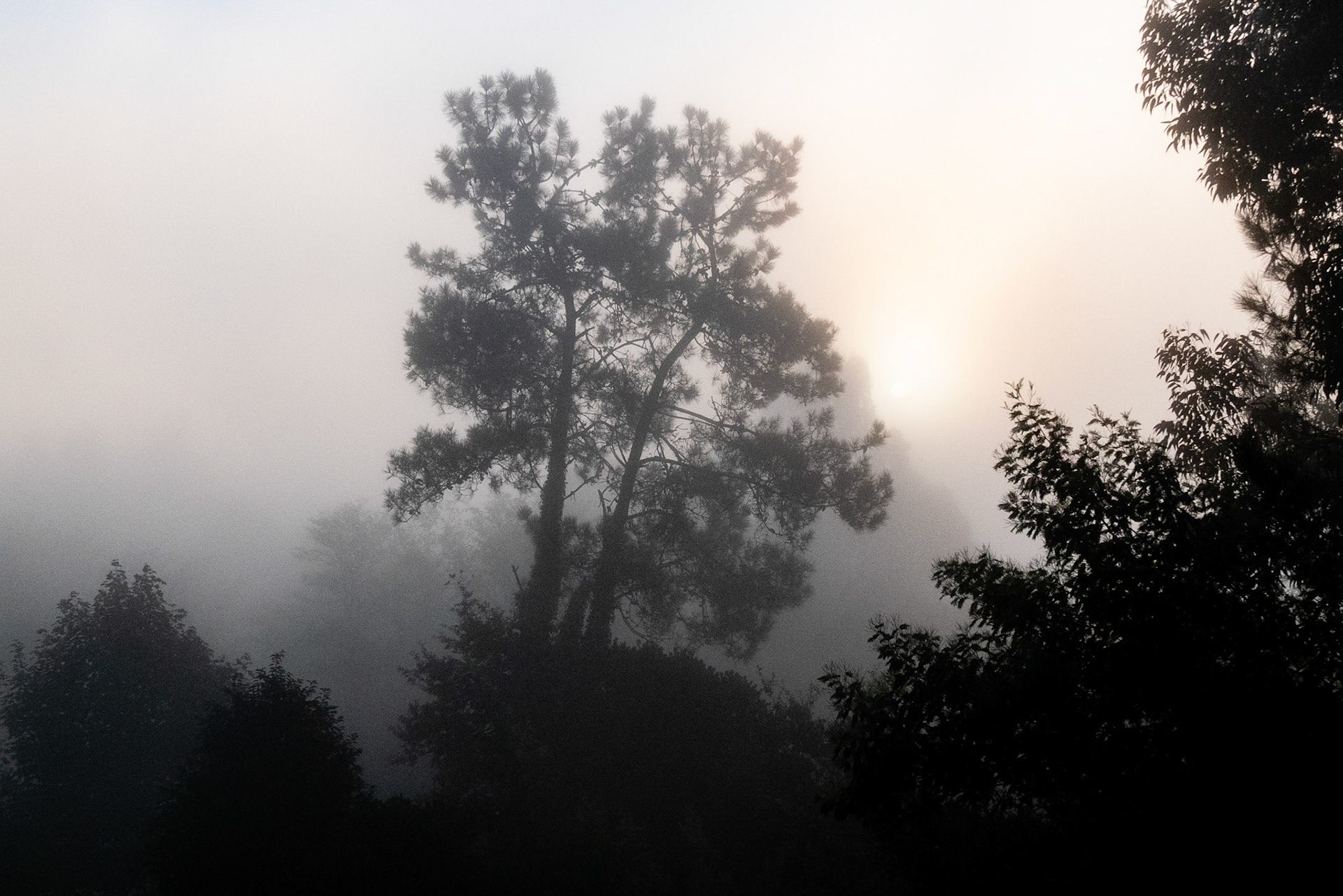 misty in the morning