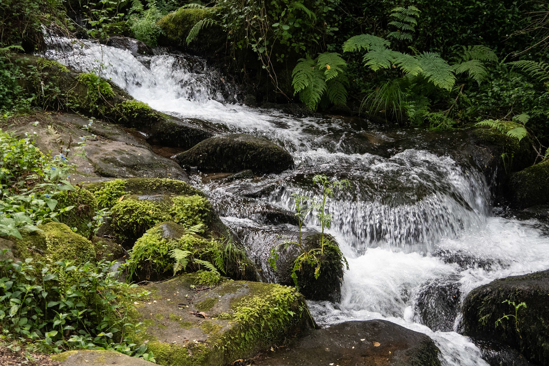 Ruta da Pedra e da Auga