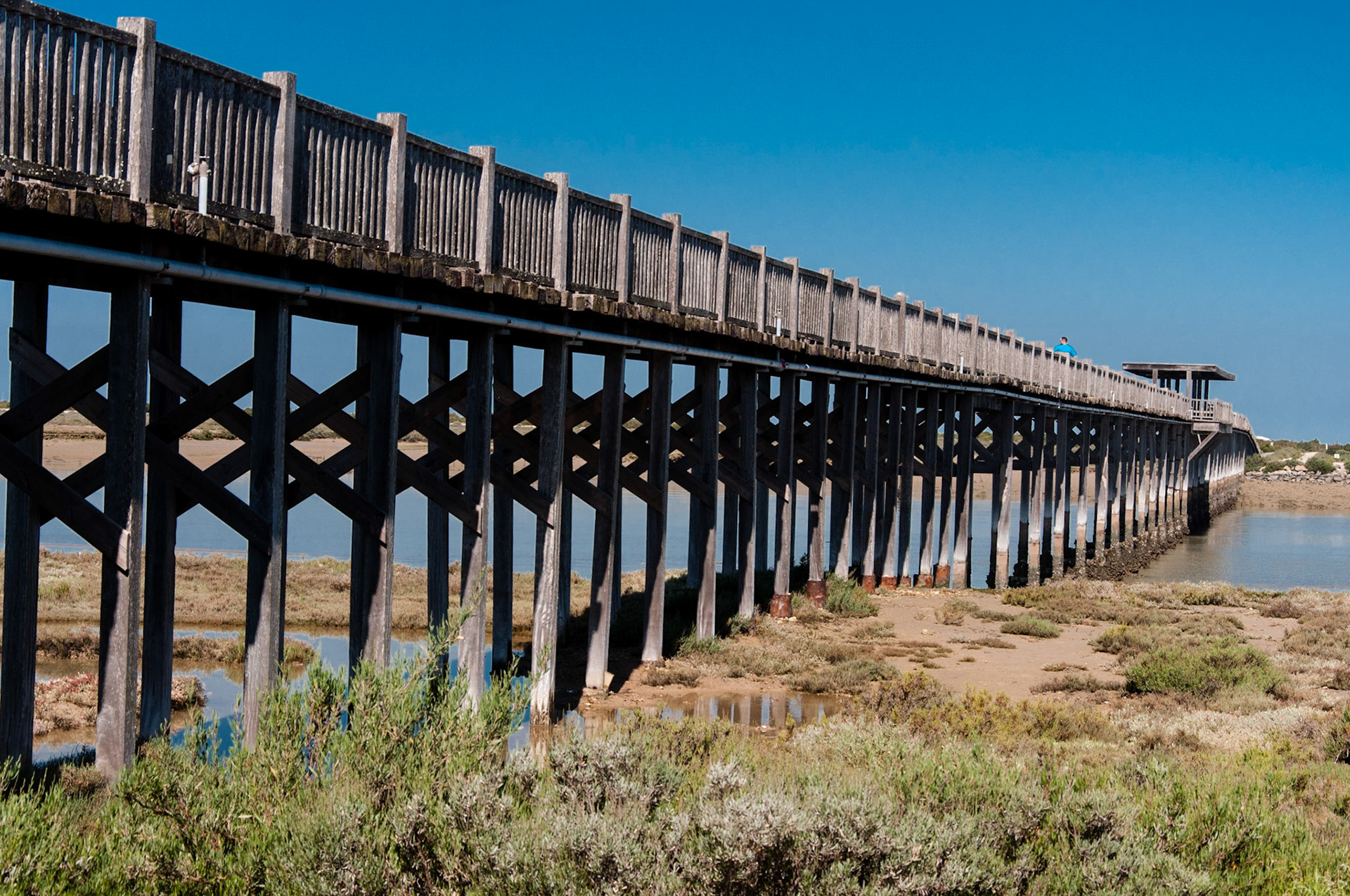 bridge across Rio San Pedro