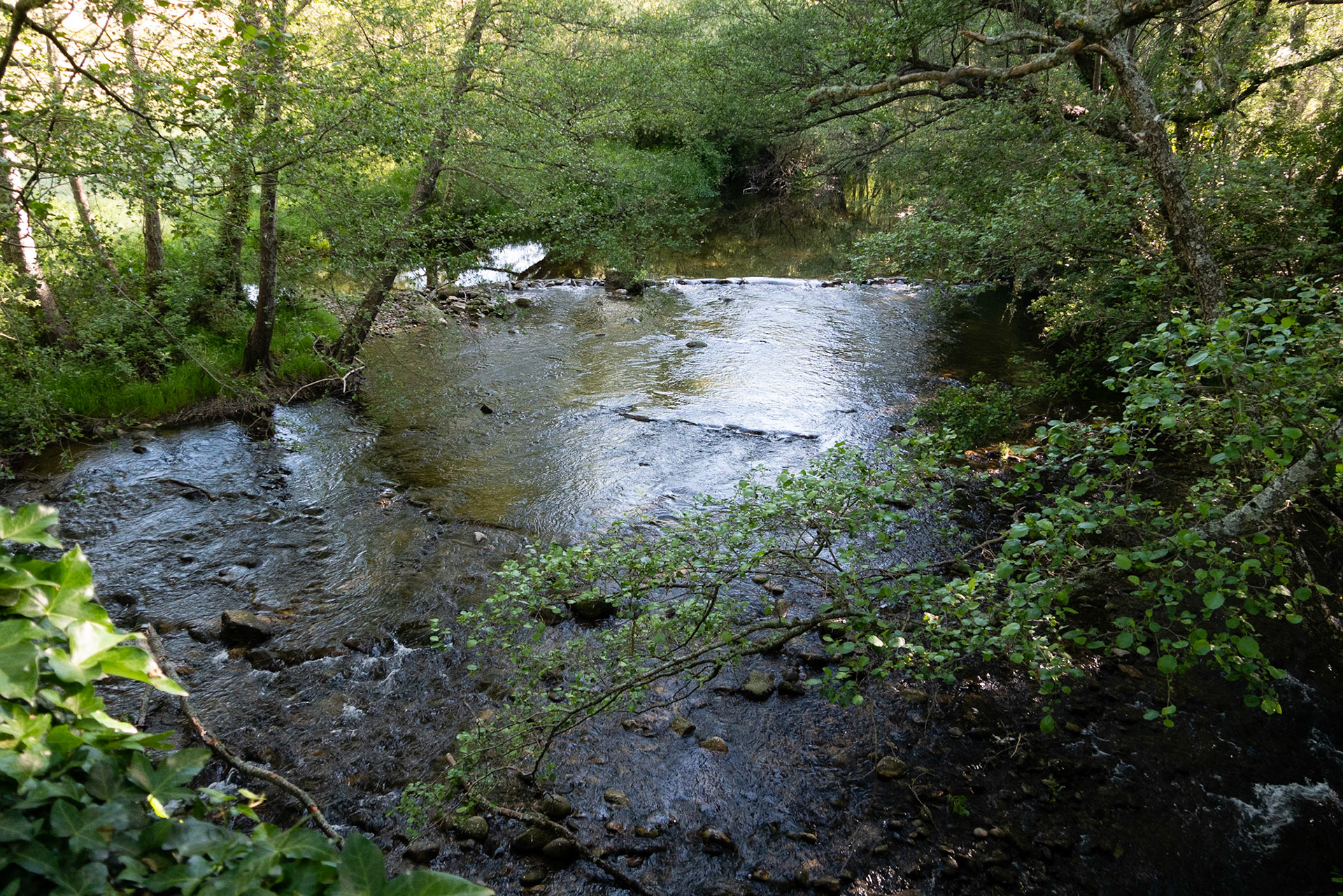 Puenta de Malena