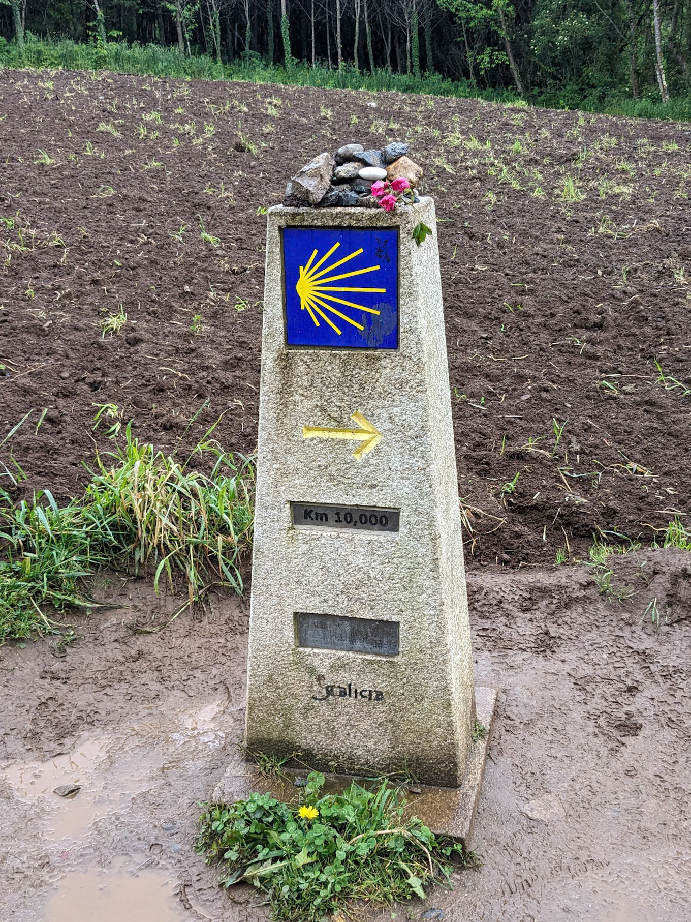de laatste 10