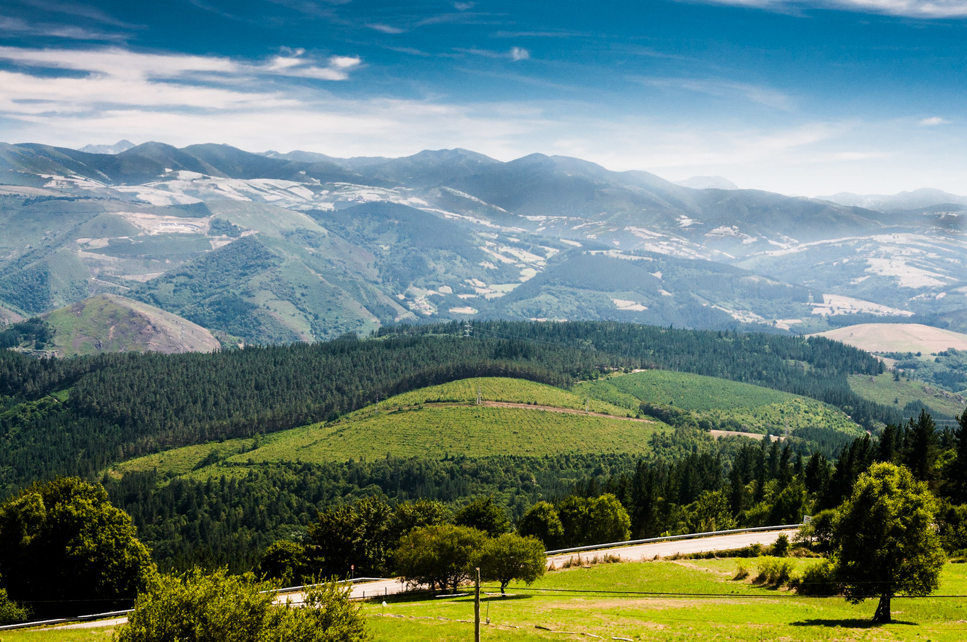 between Tineo and Campiello