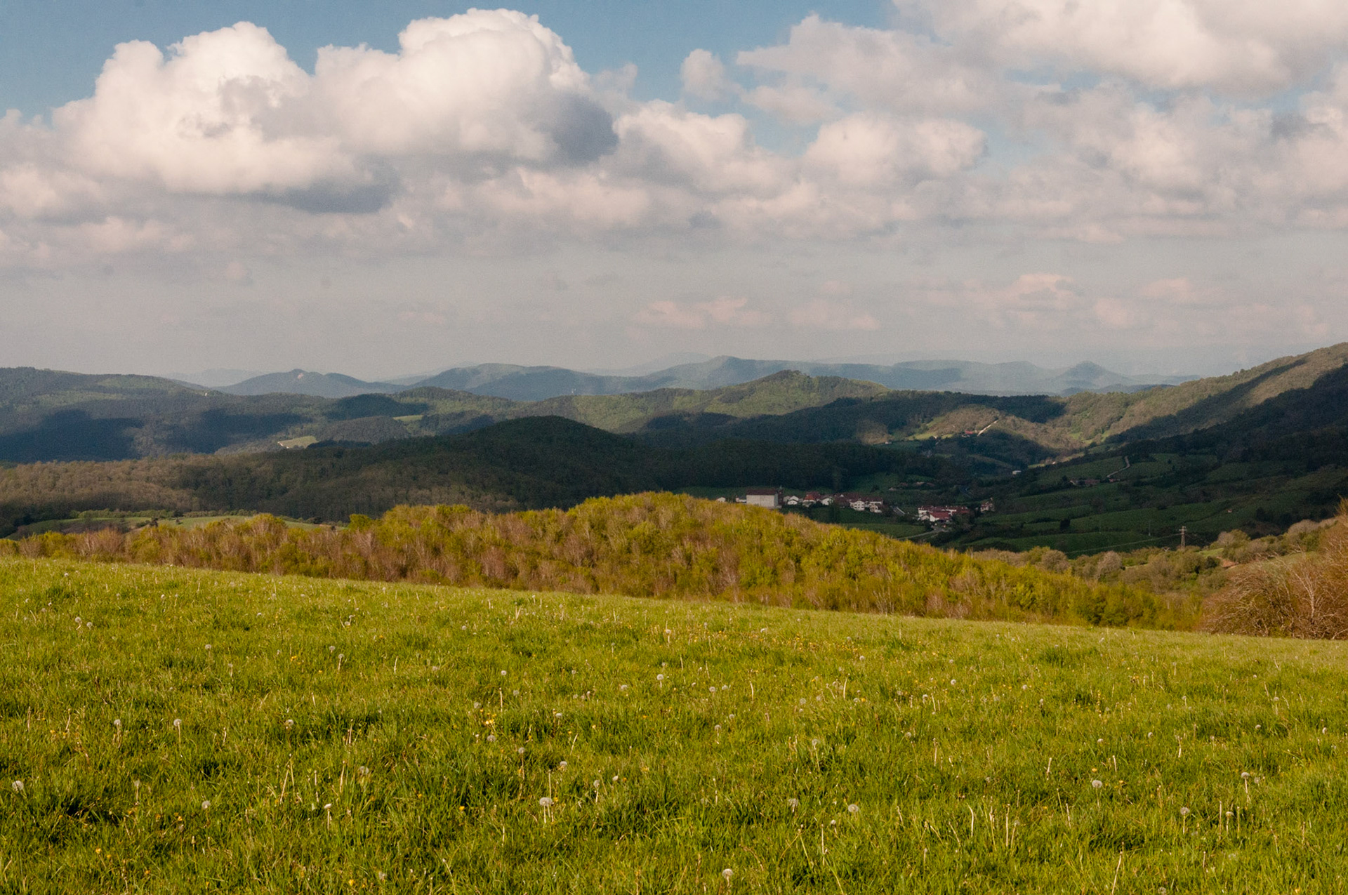 the Pyrenees