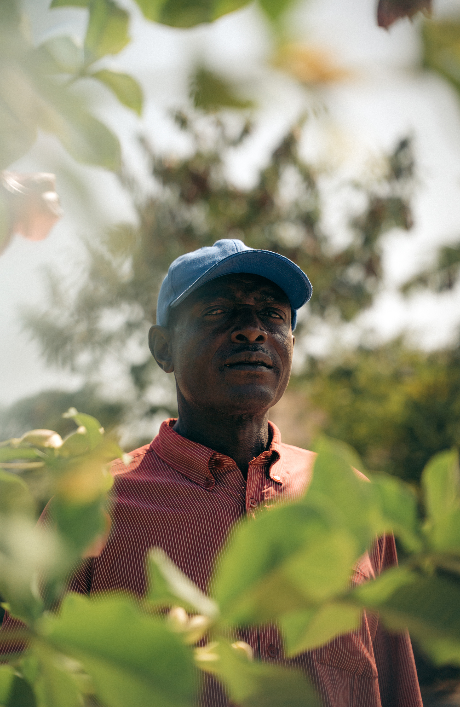 Senegal