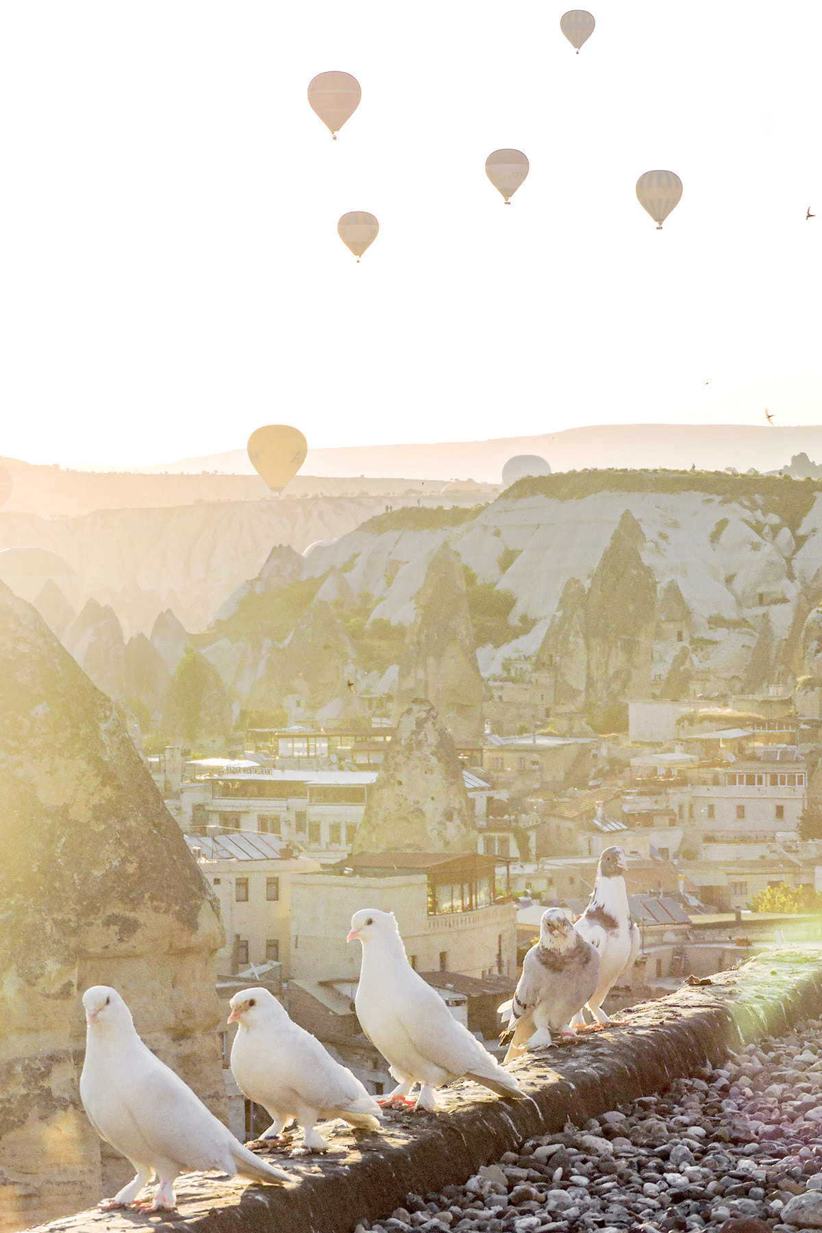 Sultan Caves, Cappadocia, 2016