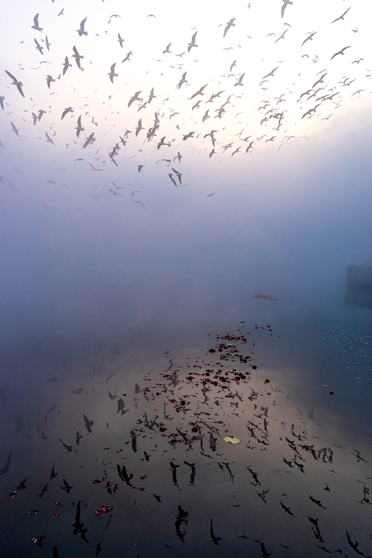 Yamuna Ghat, New Delhi, 2019
