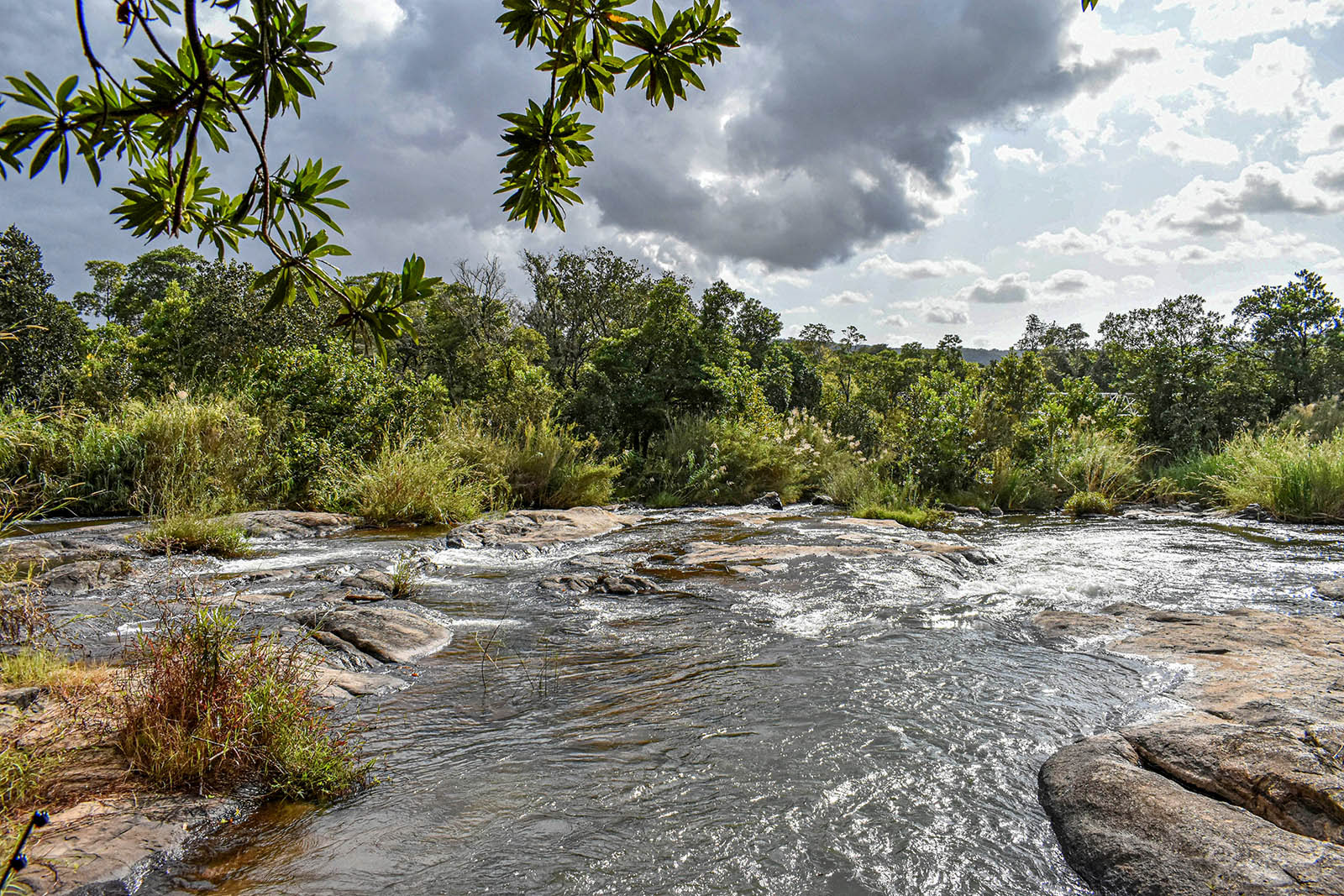 Cambalala Kruger Park Lodge, Hazyview, South Africa, 2017