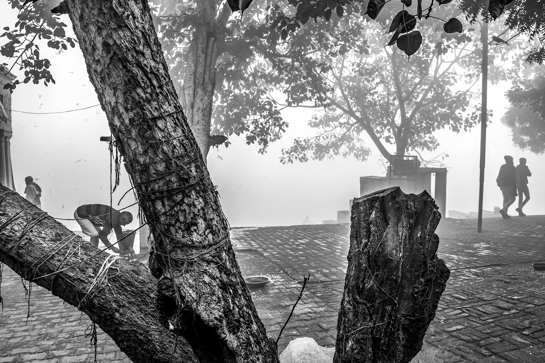Yamuna Ghat, New Delhi, 2017
