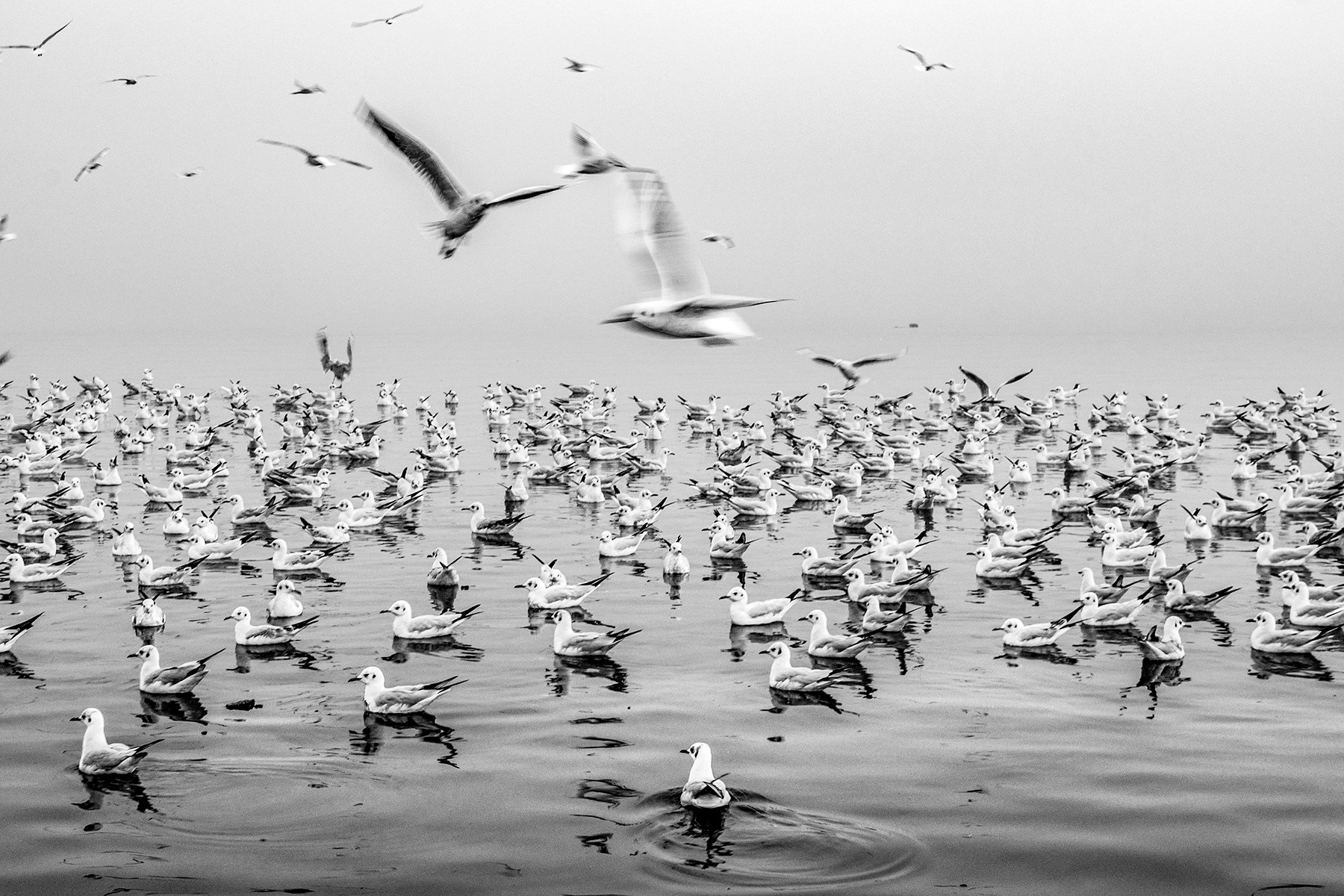 Yamuna Ghat, New Delhi, 2019