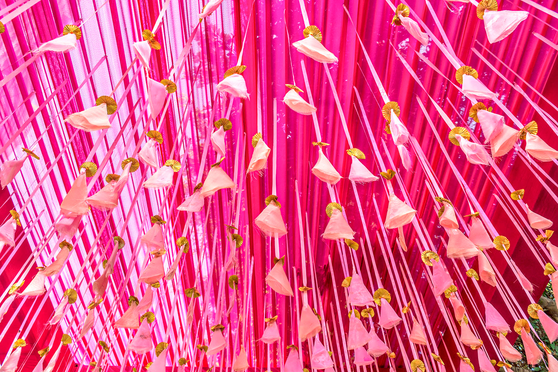 Decor by WED by Poornima, 2019