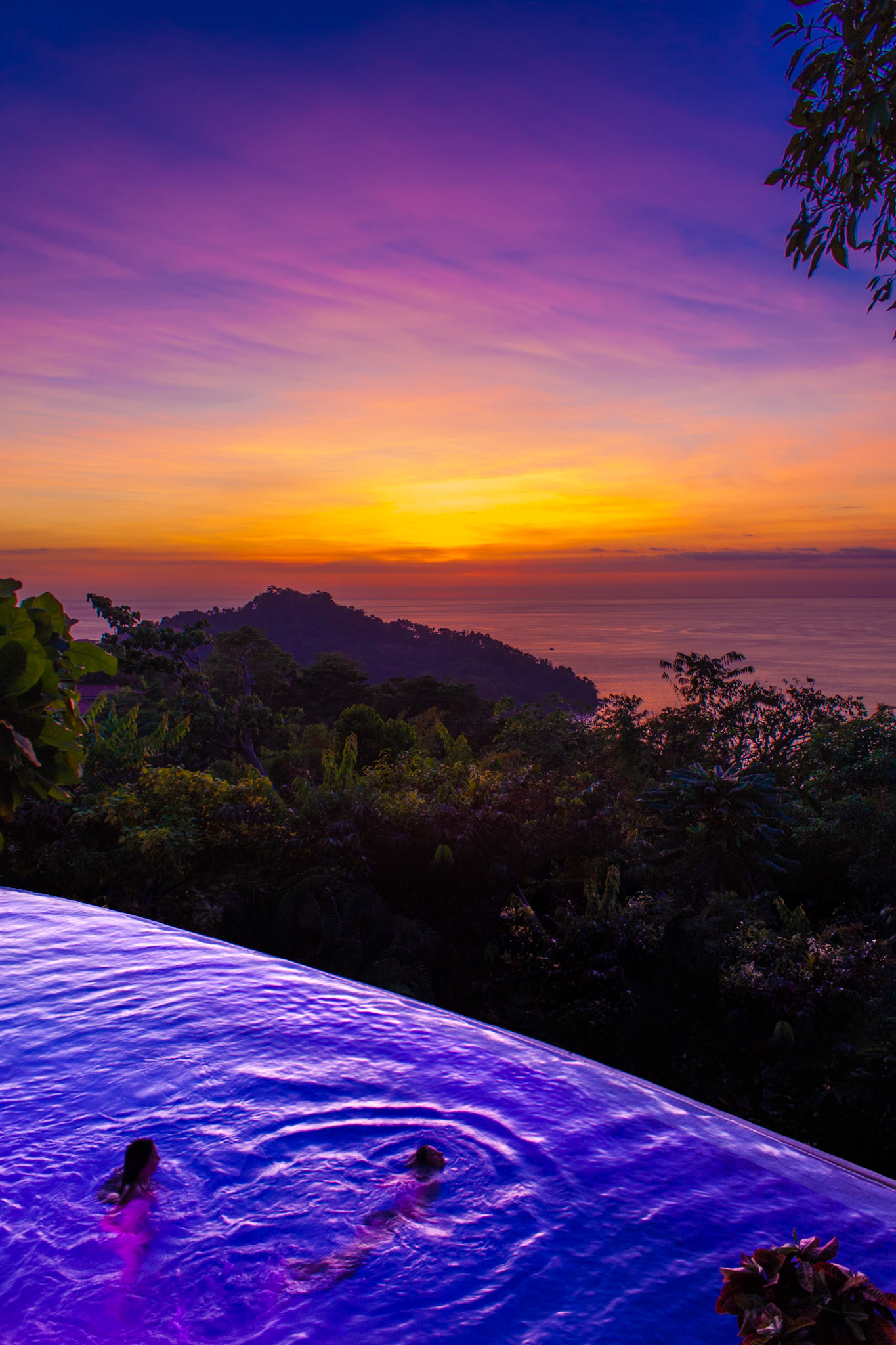 Swim Into The Sunset