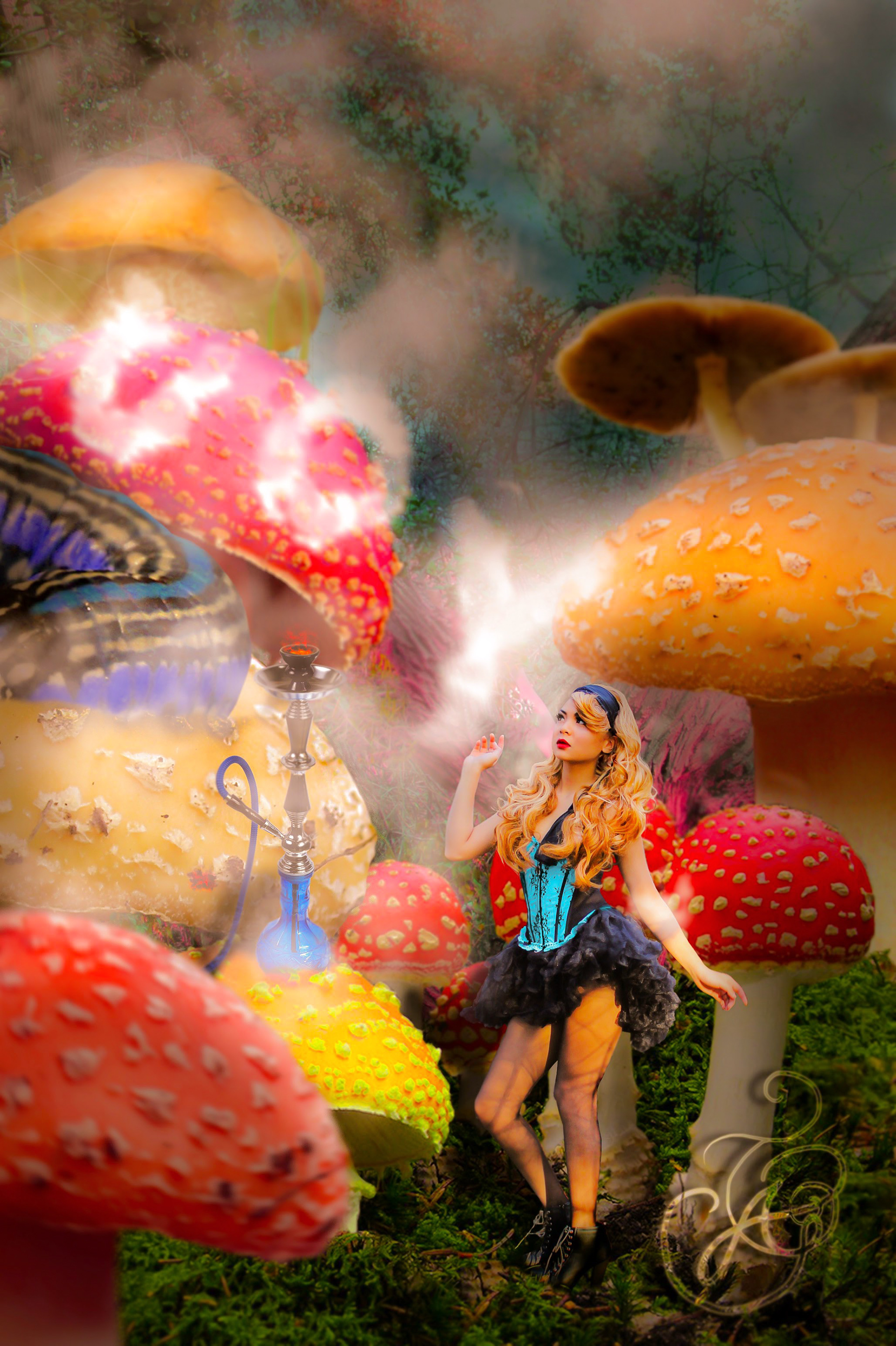 was inspired by Alice in the Wonderland. Photoshop/photo manipulation.2011