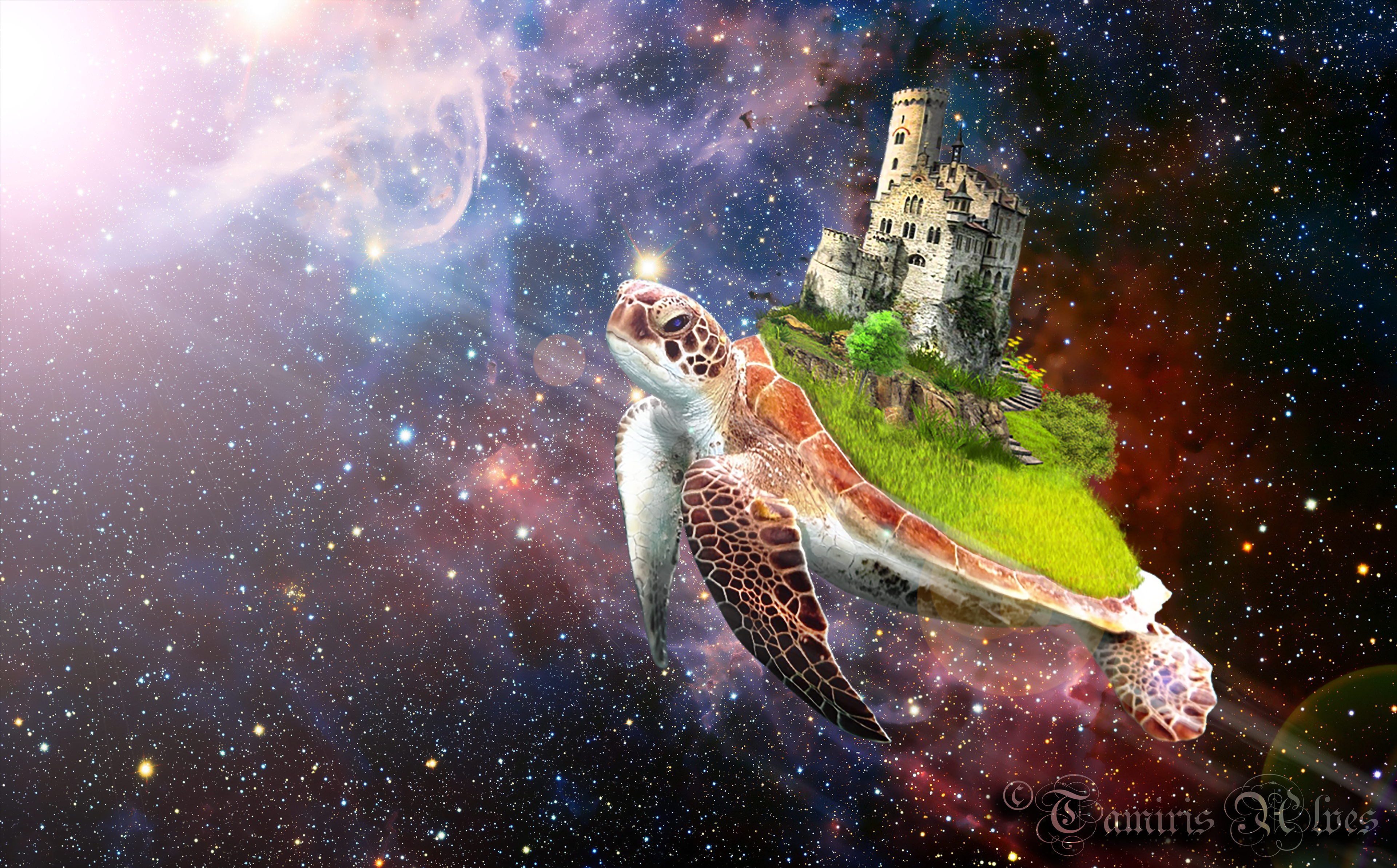 Photoshop/photo manipulation. 2019