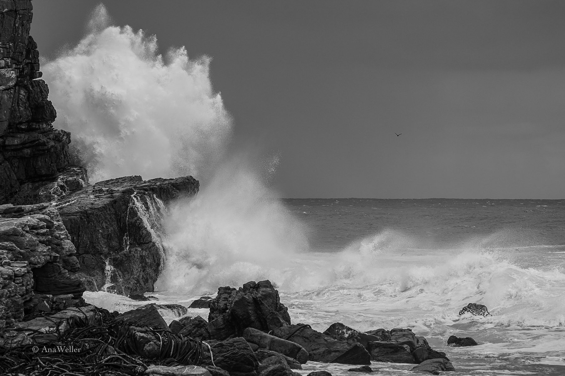 Wasser, Brandung, Cape of good Hope