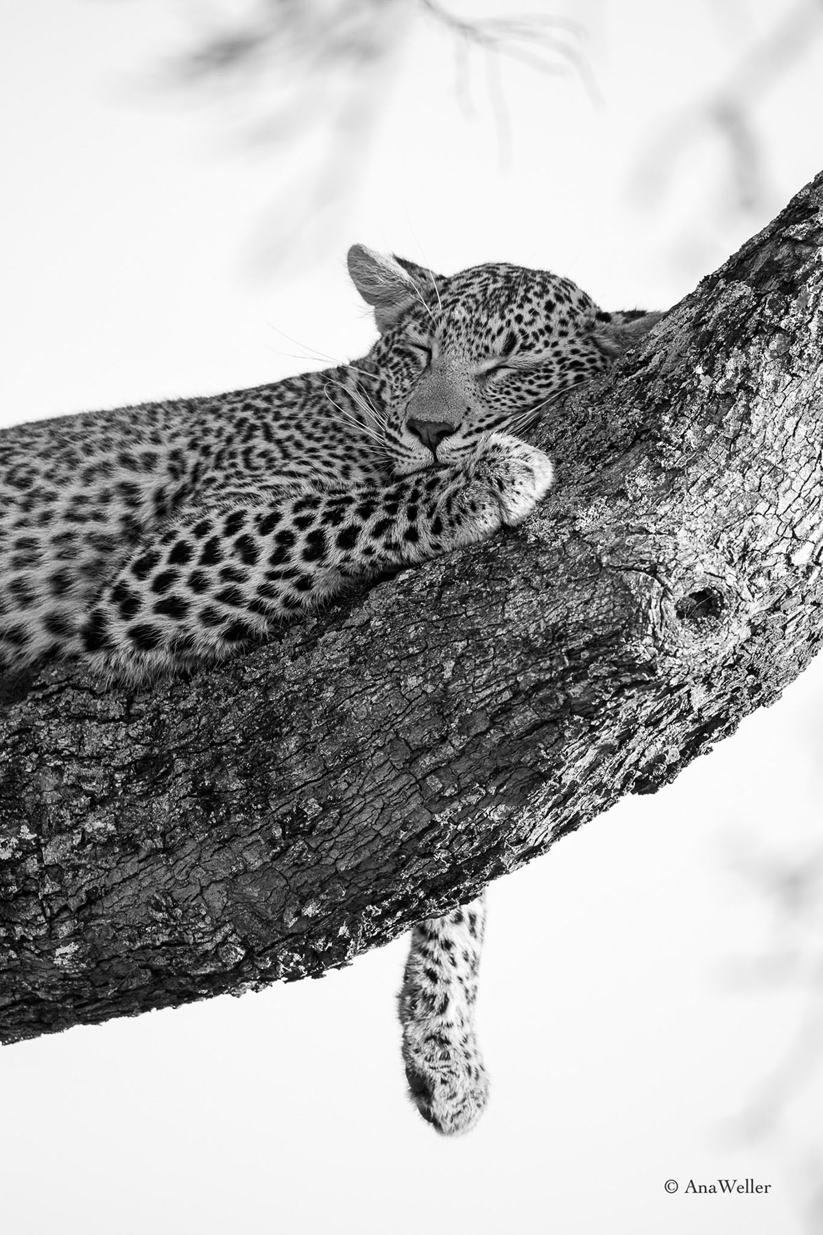 Siesta - vollkommene Entspannung und Hingabe
