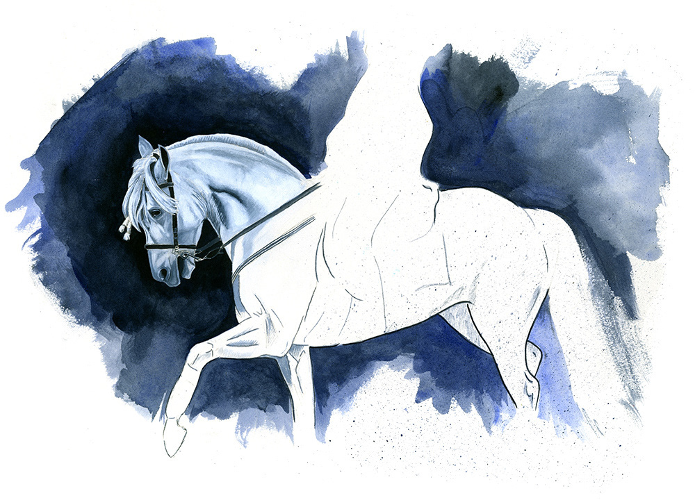 Equestrian study