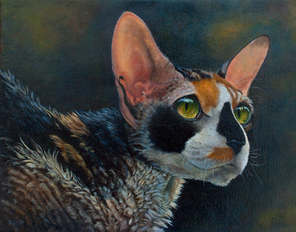 "Phoebe", Cornish Rex. A picture of the artwork was donated to PAWS for Charity, and was turned into postcards and featured in the artbook.