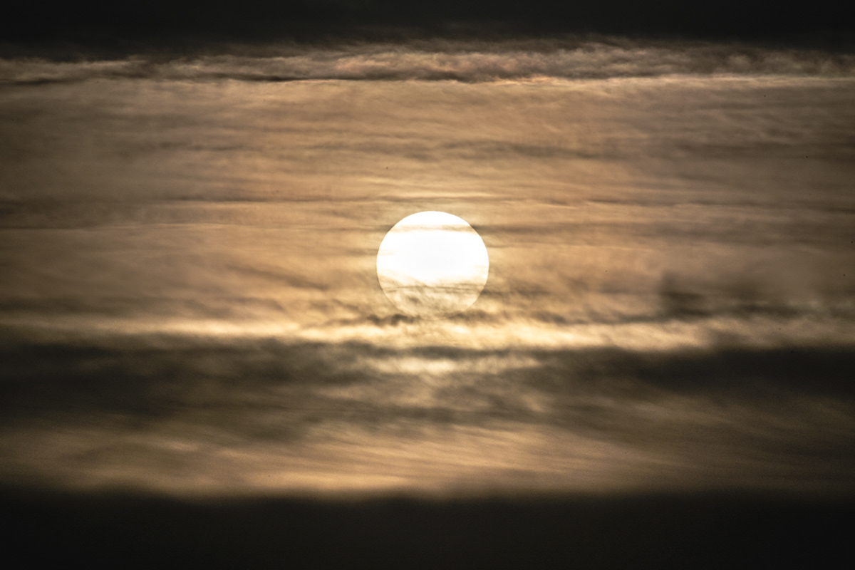 04.15.2022 - Day 776