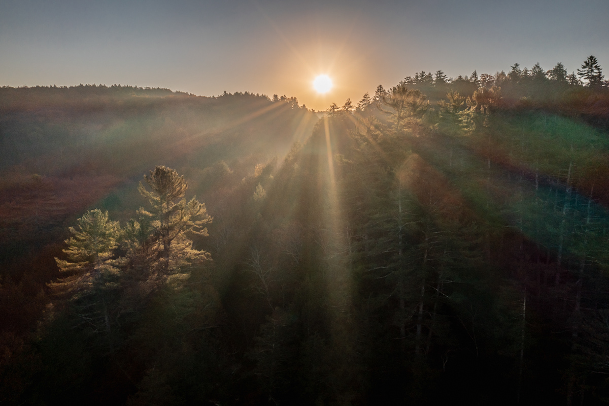 11.09.2021 - Day 619 - Chesterfield Gorge, Chesterfield MA