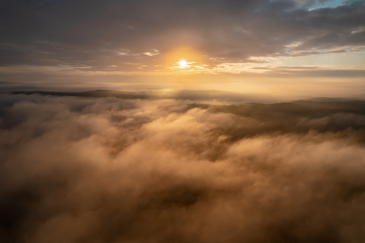 11.29.2021 - Day 639