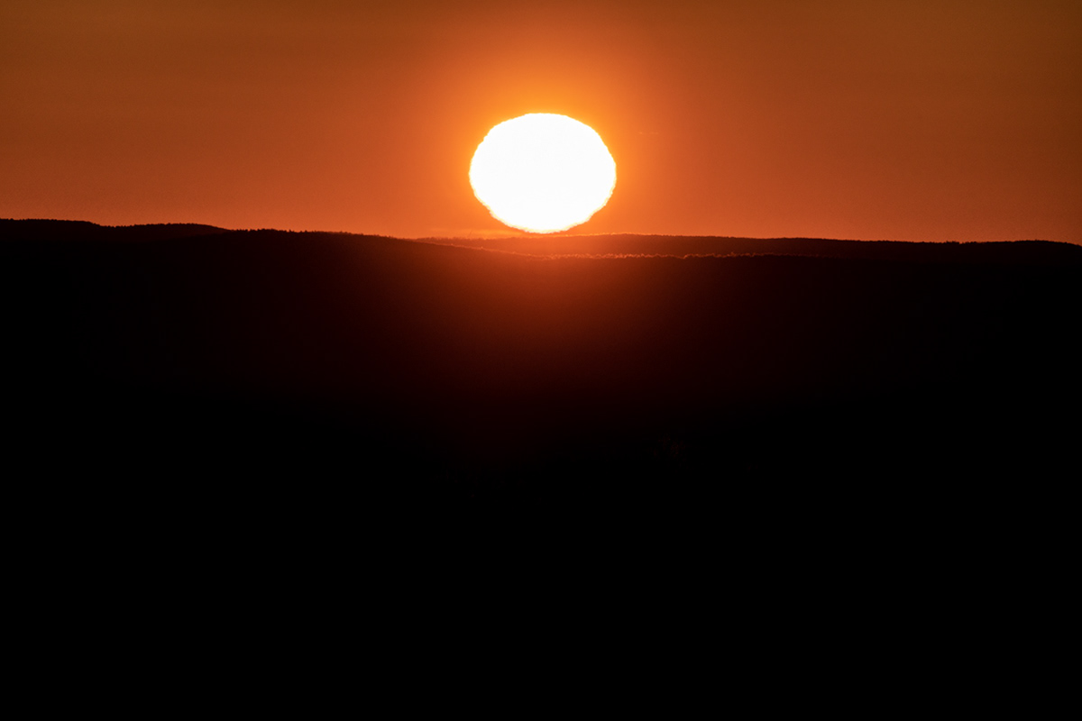 04.11.2022 - Day 772