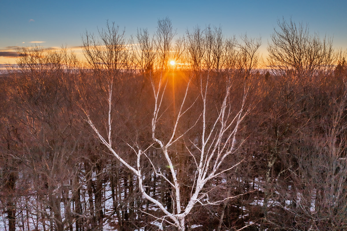 01.01.2023 - Day 1037 - Goshen, MA