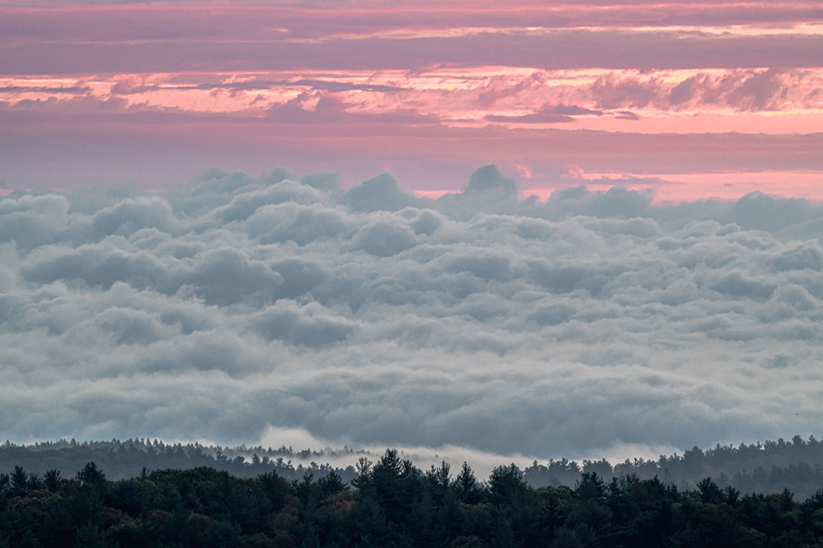 10.22.2021 - Day 601