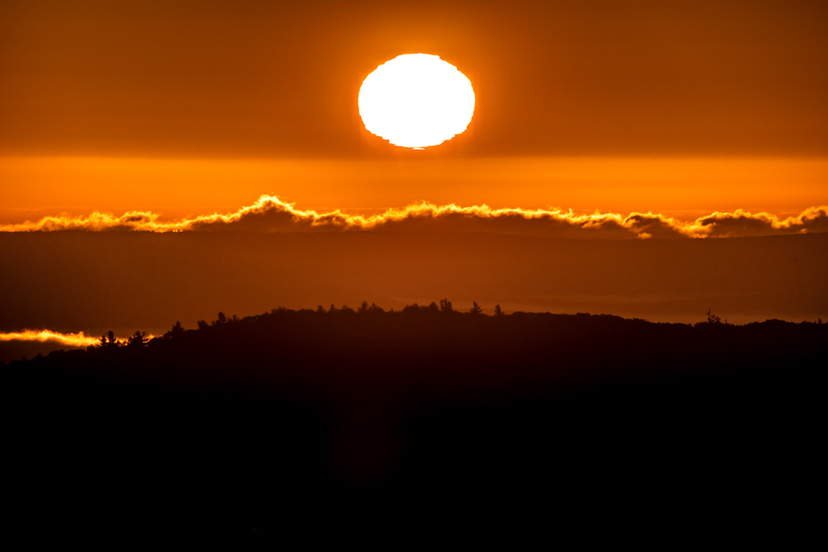 10.31.2021 - Day 610