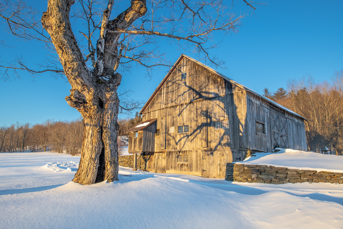 03.04.2022 - Day 734 - Ashfield, MA