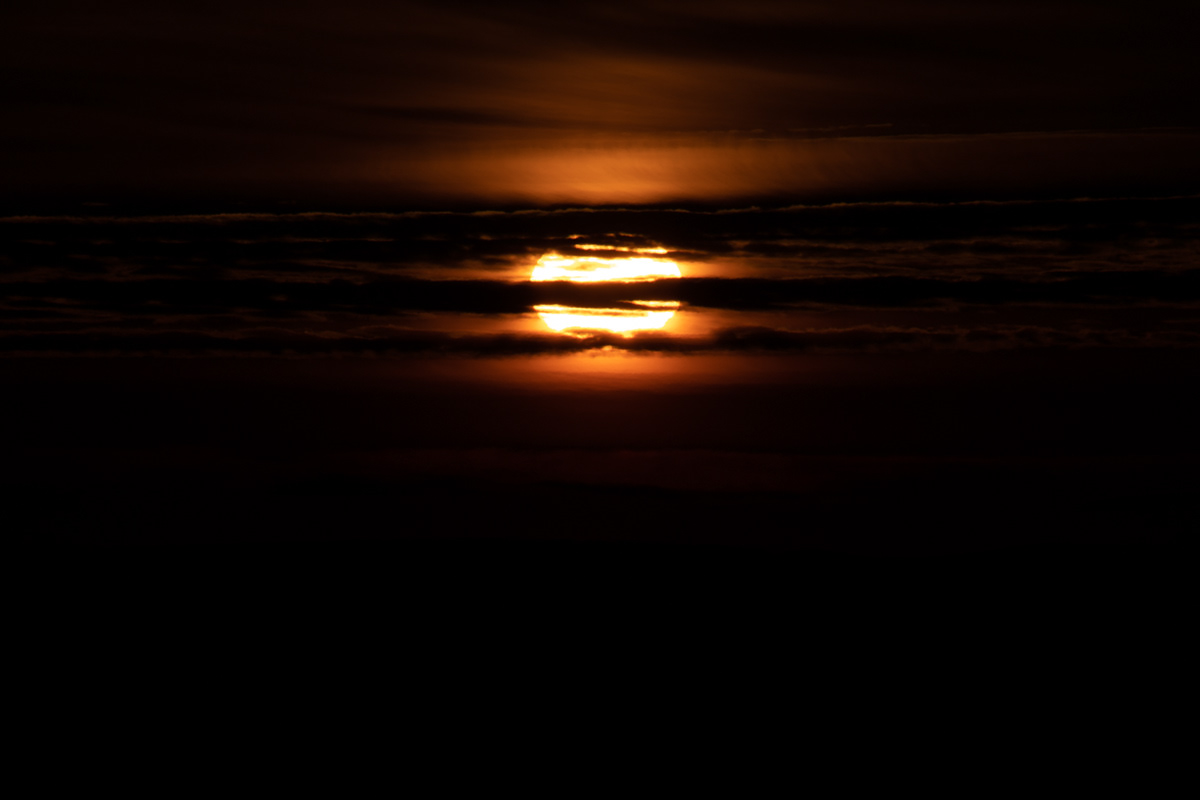 01.21.2022 - RAW image - Day 692