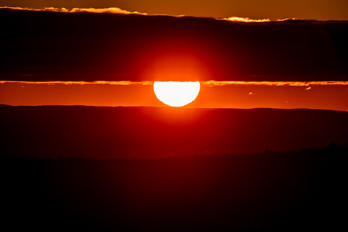 12.27.2021 - Day 667